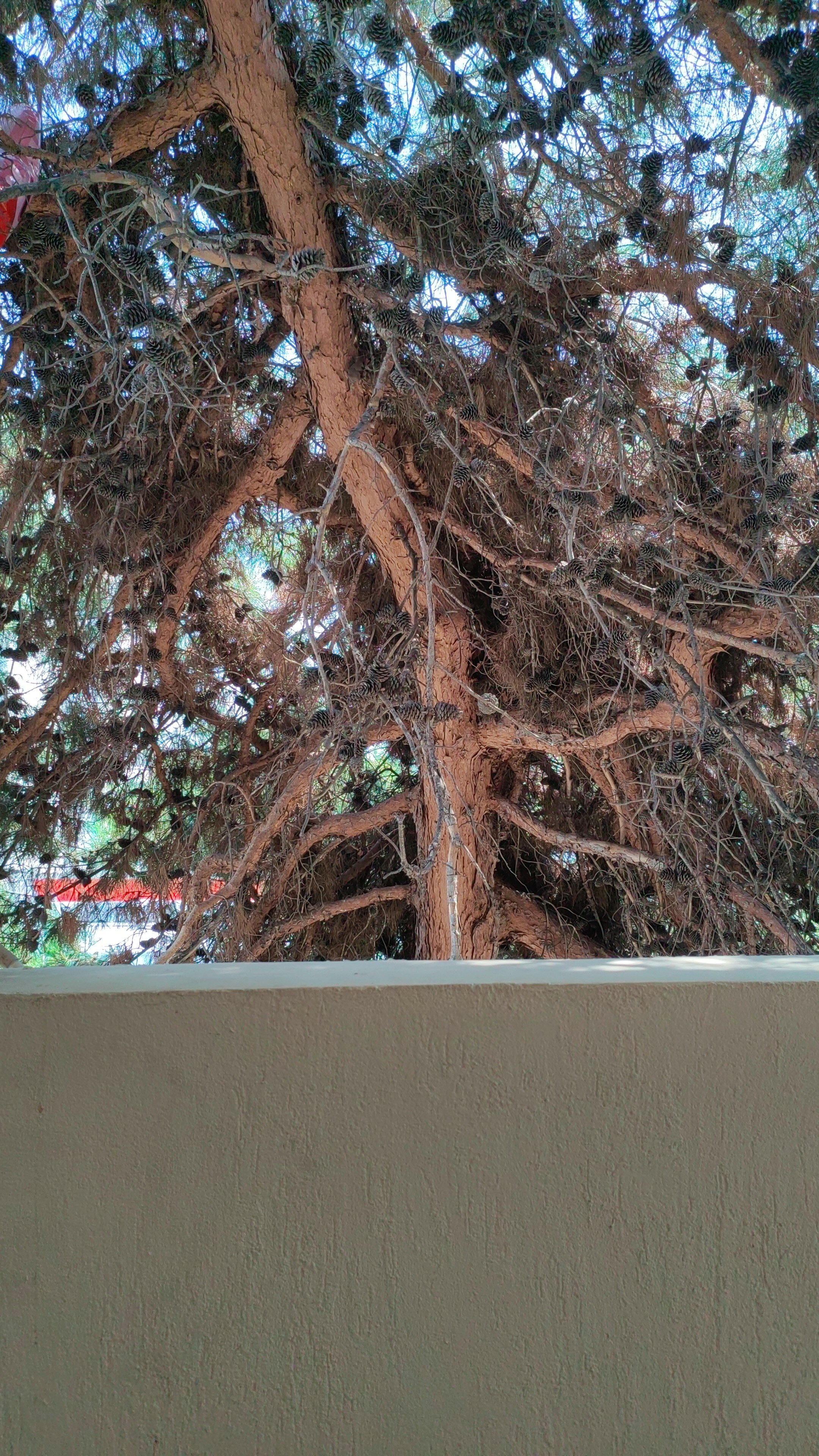 Фото Илиадис