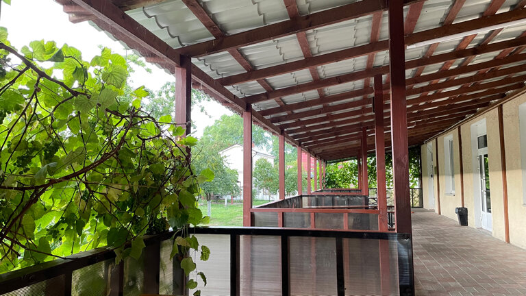 Фото Фрише Нерунг