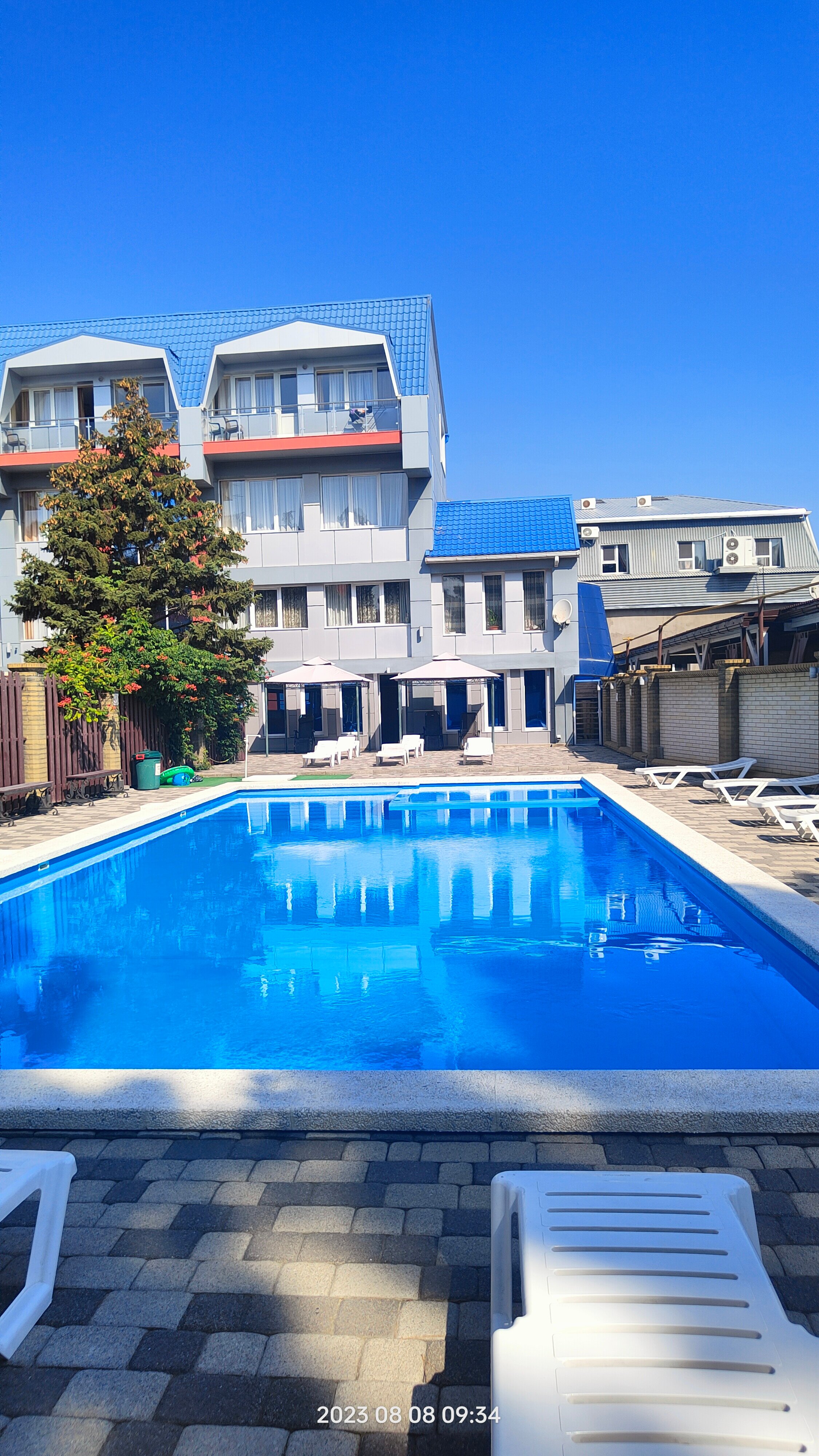 Фото Тополь