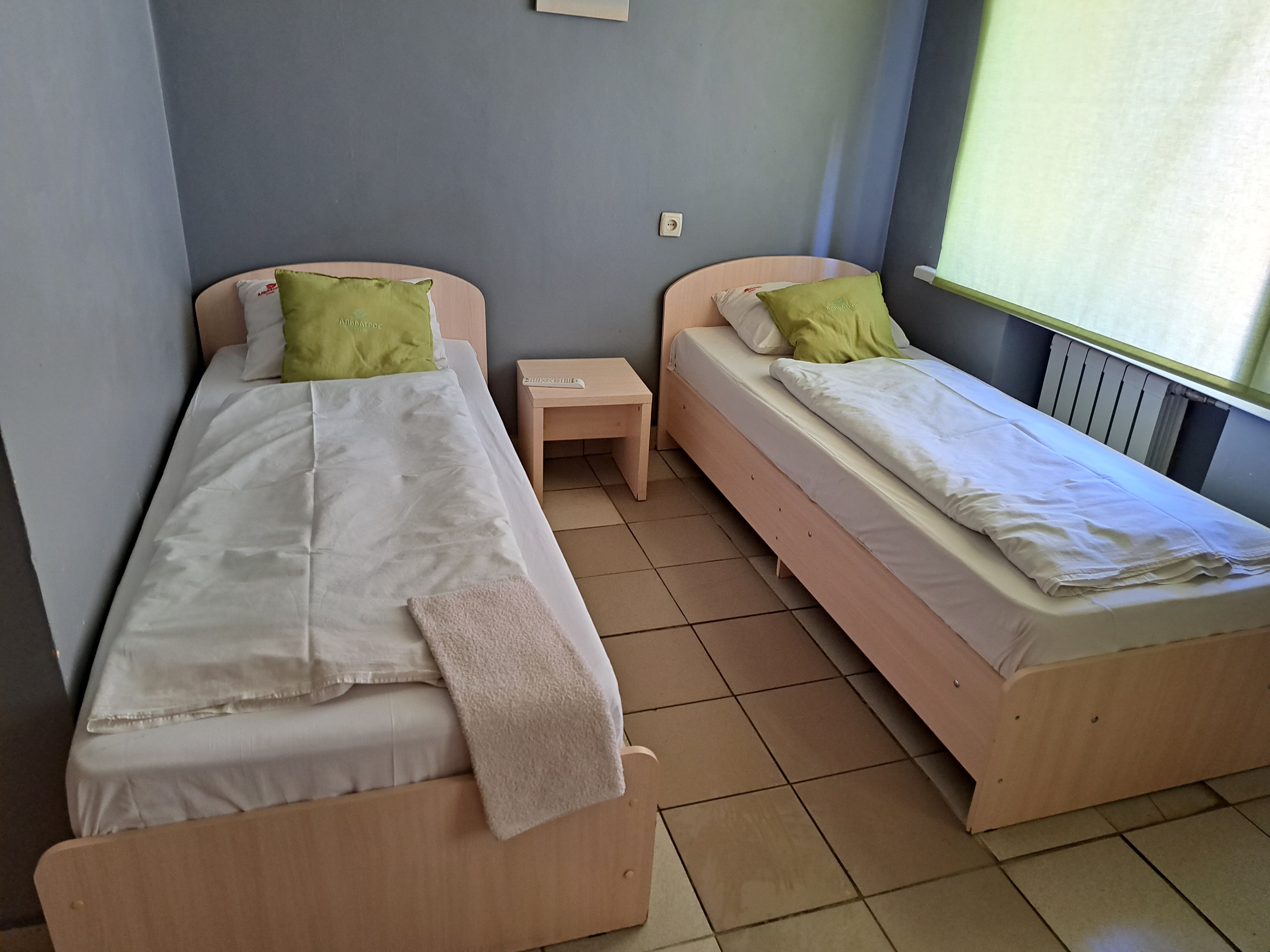 Фото Альбатрос