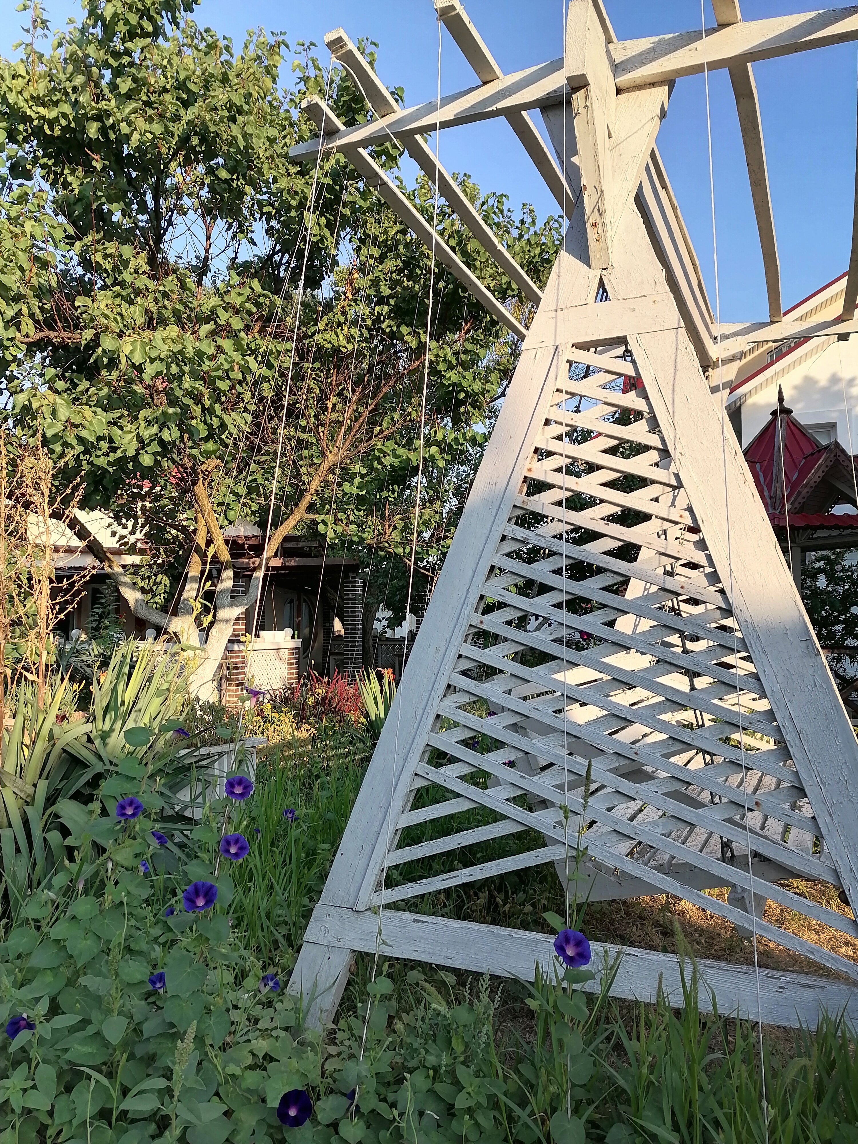 Фото Ройтош