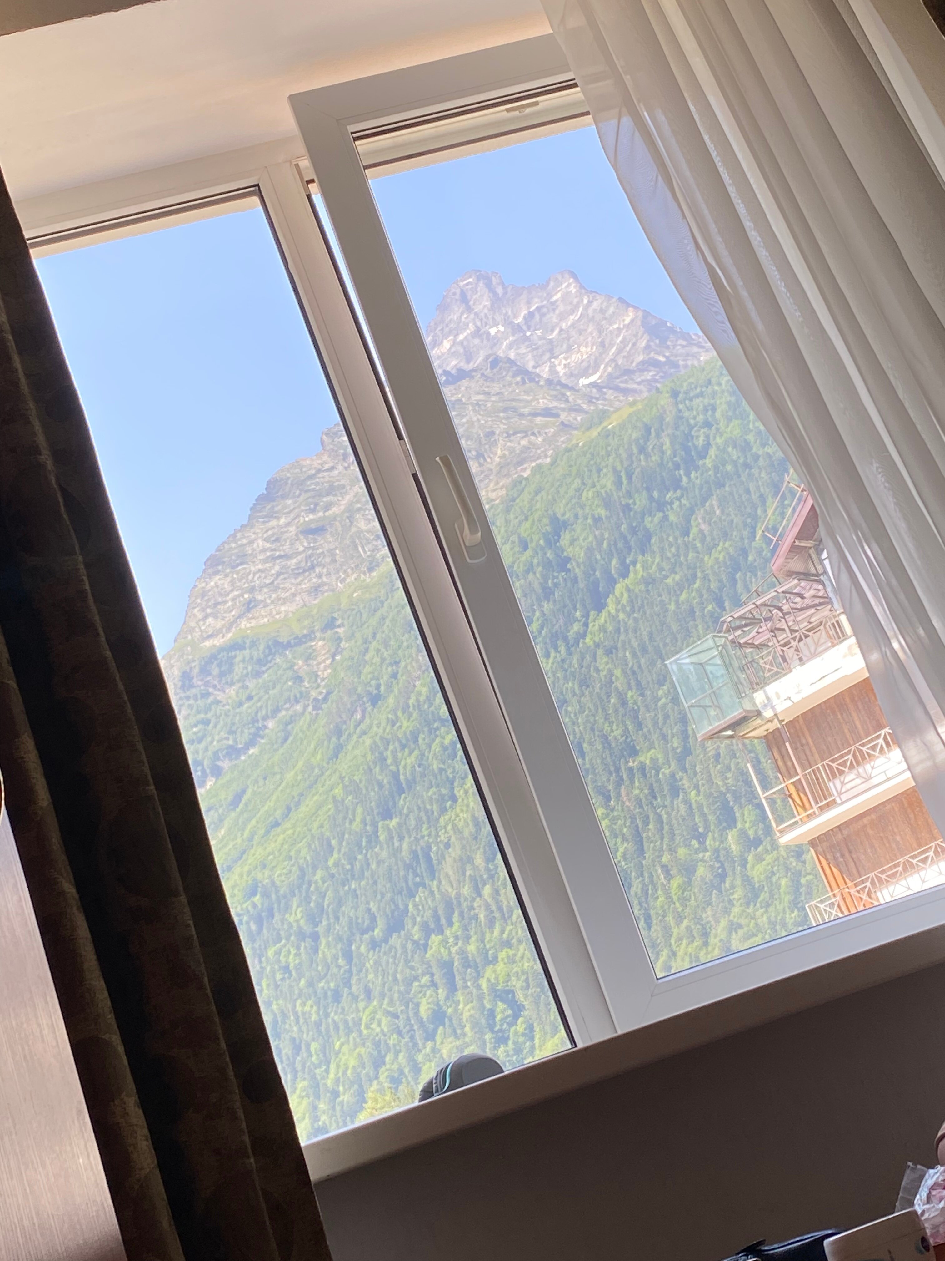 Фото Снежный Барс