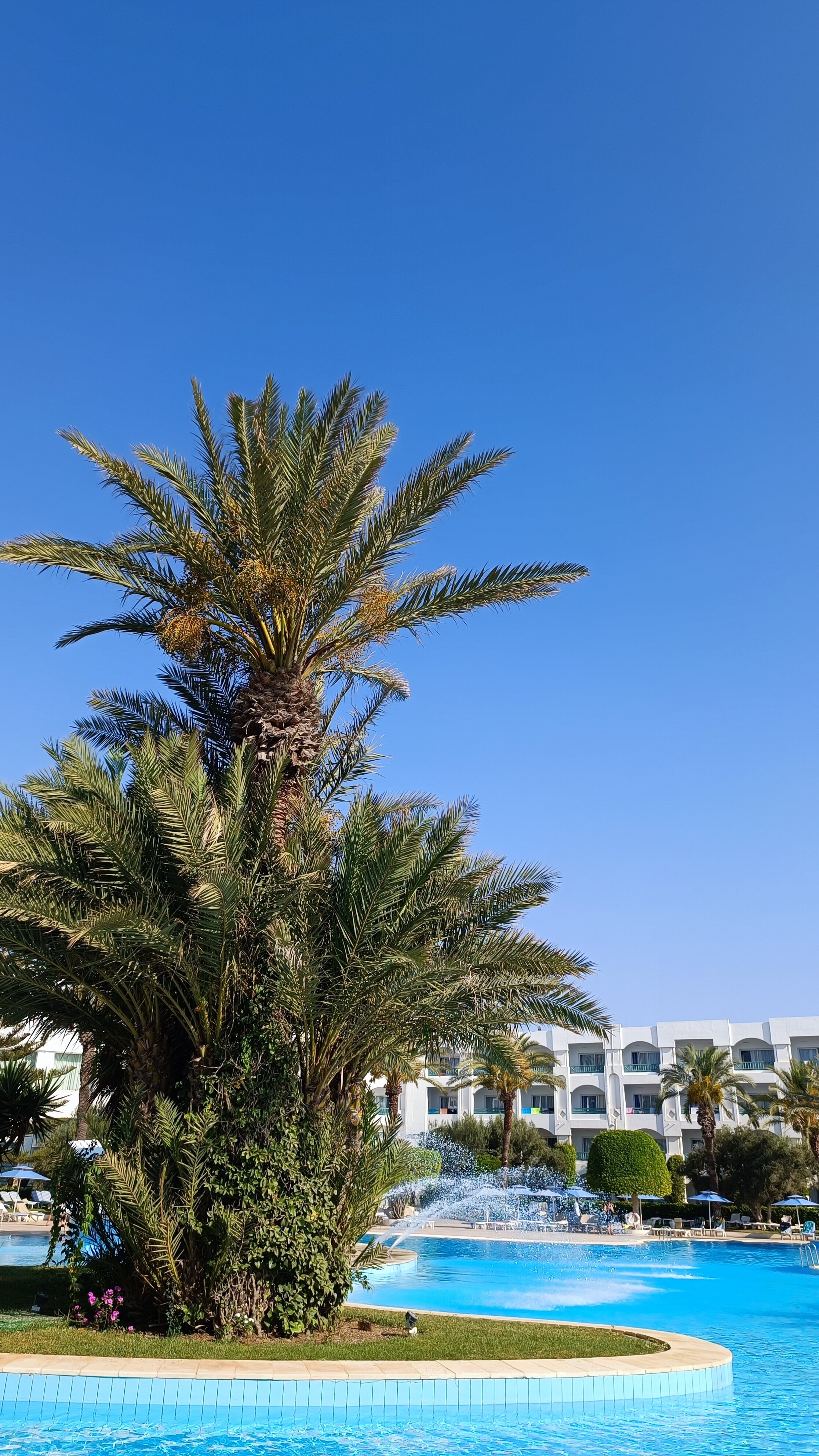 Фото Mahdia Palace Thalasso