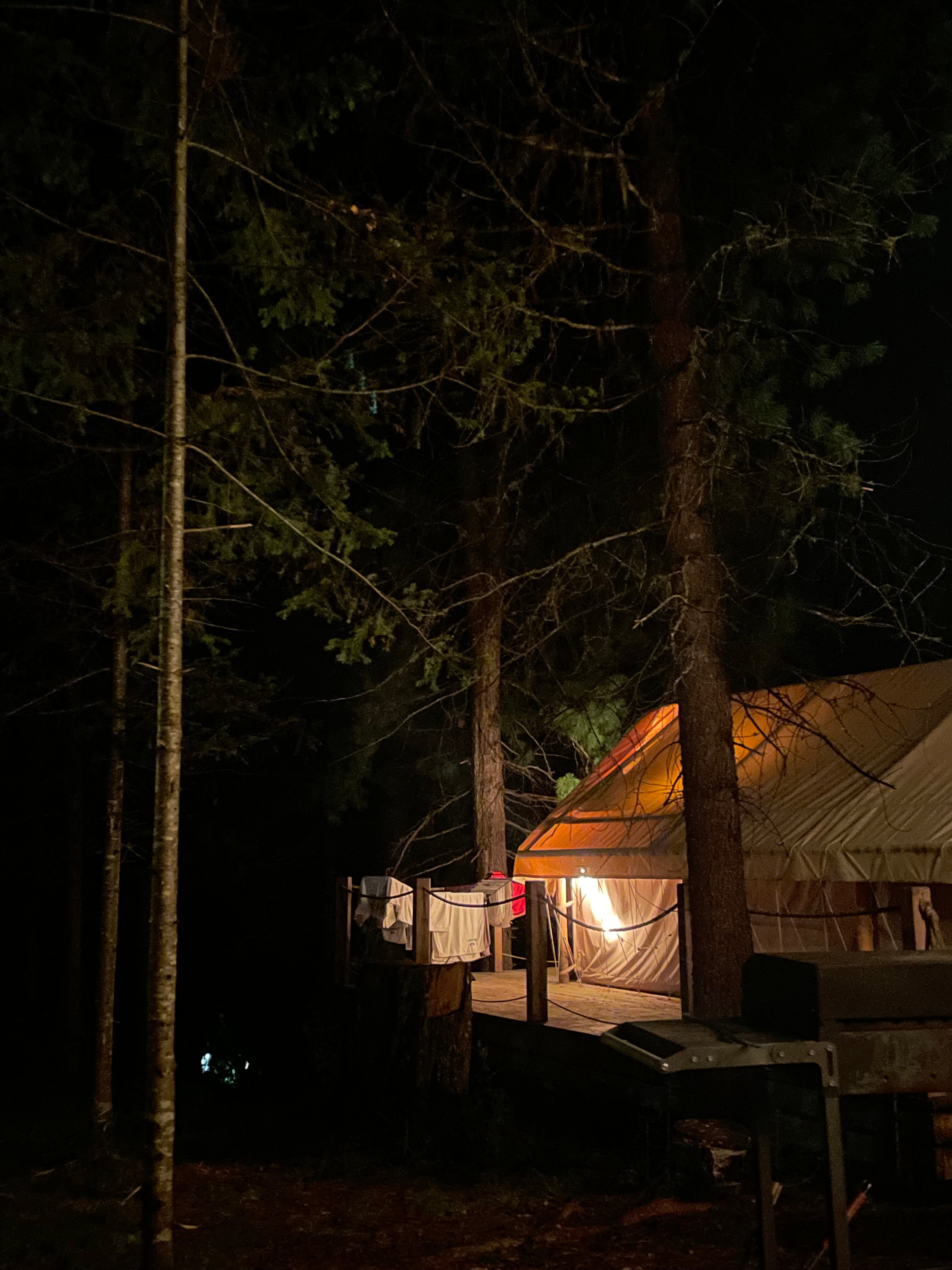 Фото Кедровая берлога