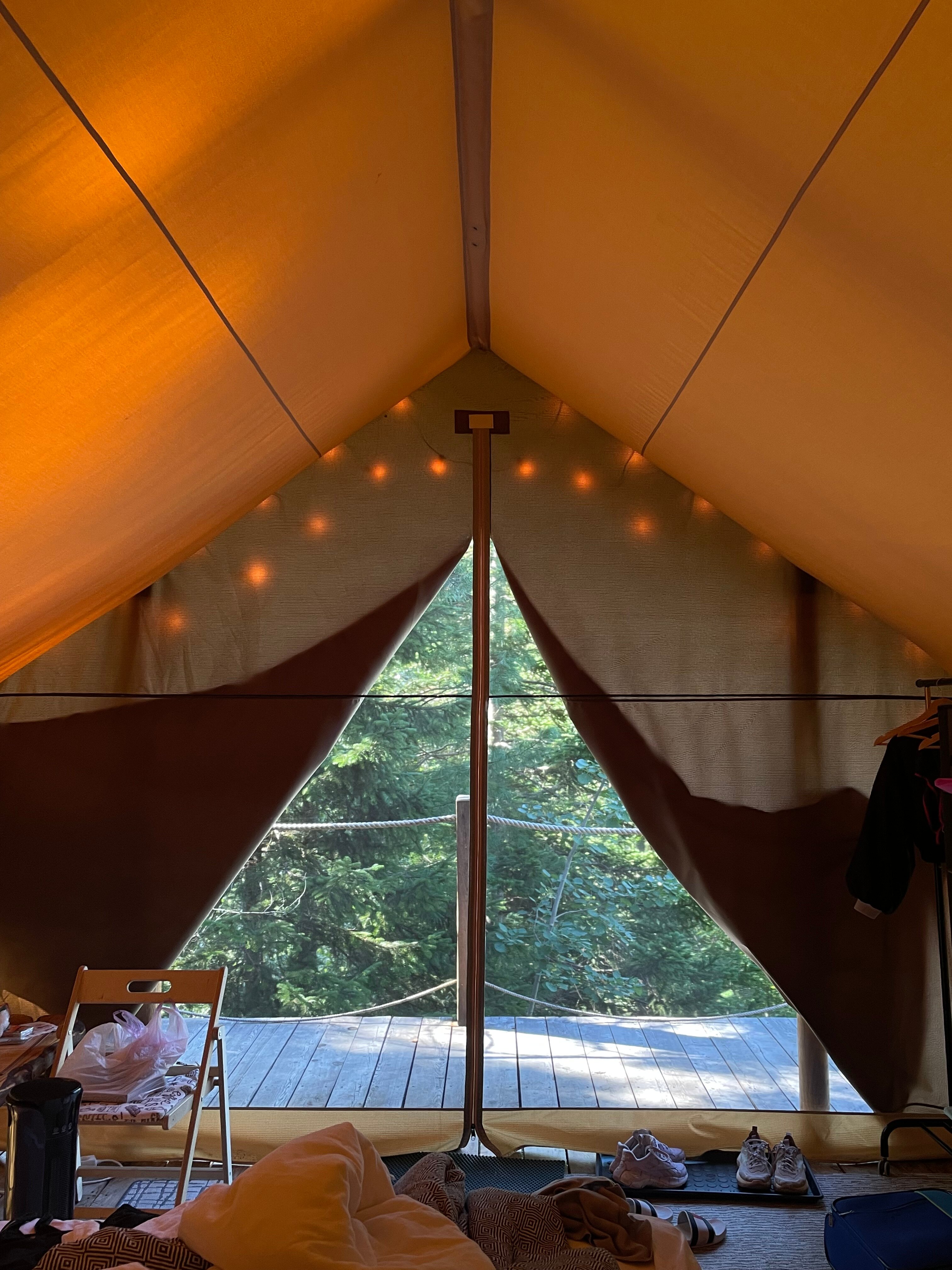 Фото Кедровая берлога