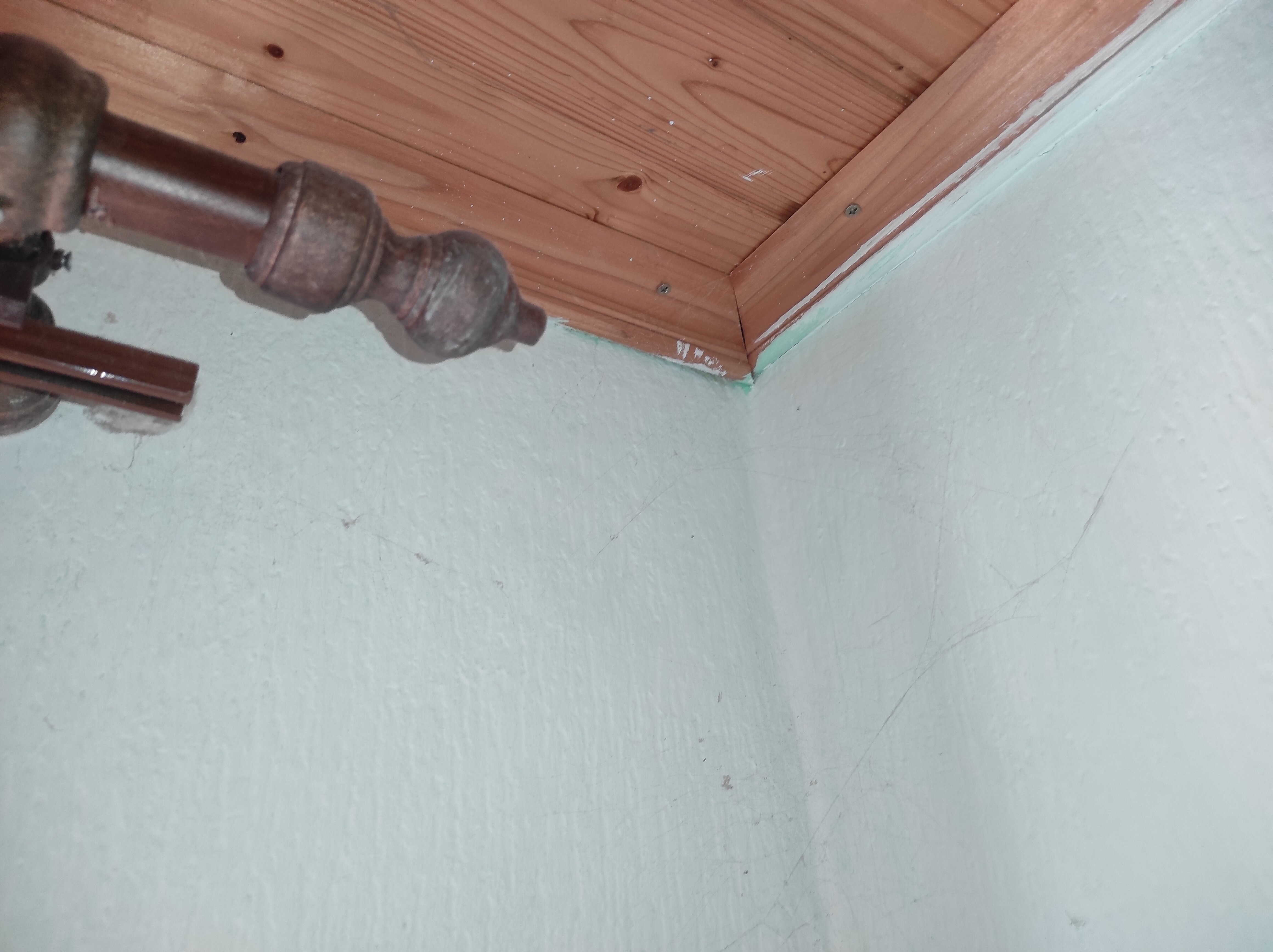 Фото Банановый рай