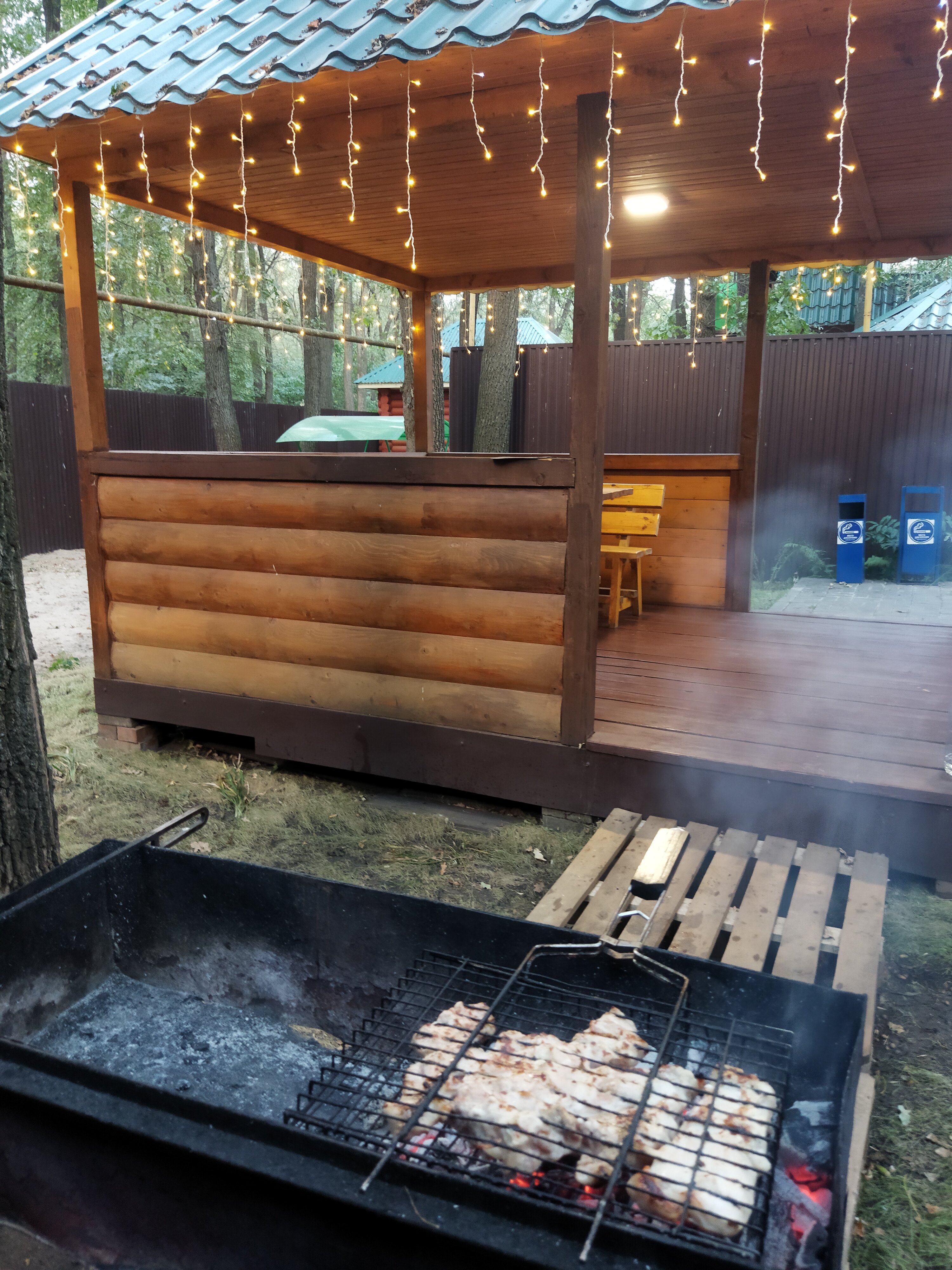 Фото Дубрава