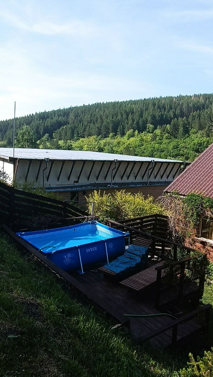 Фото Горная Пчела