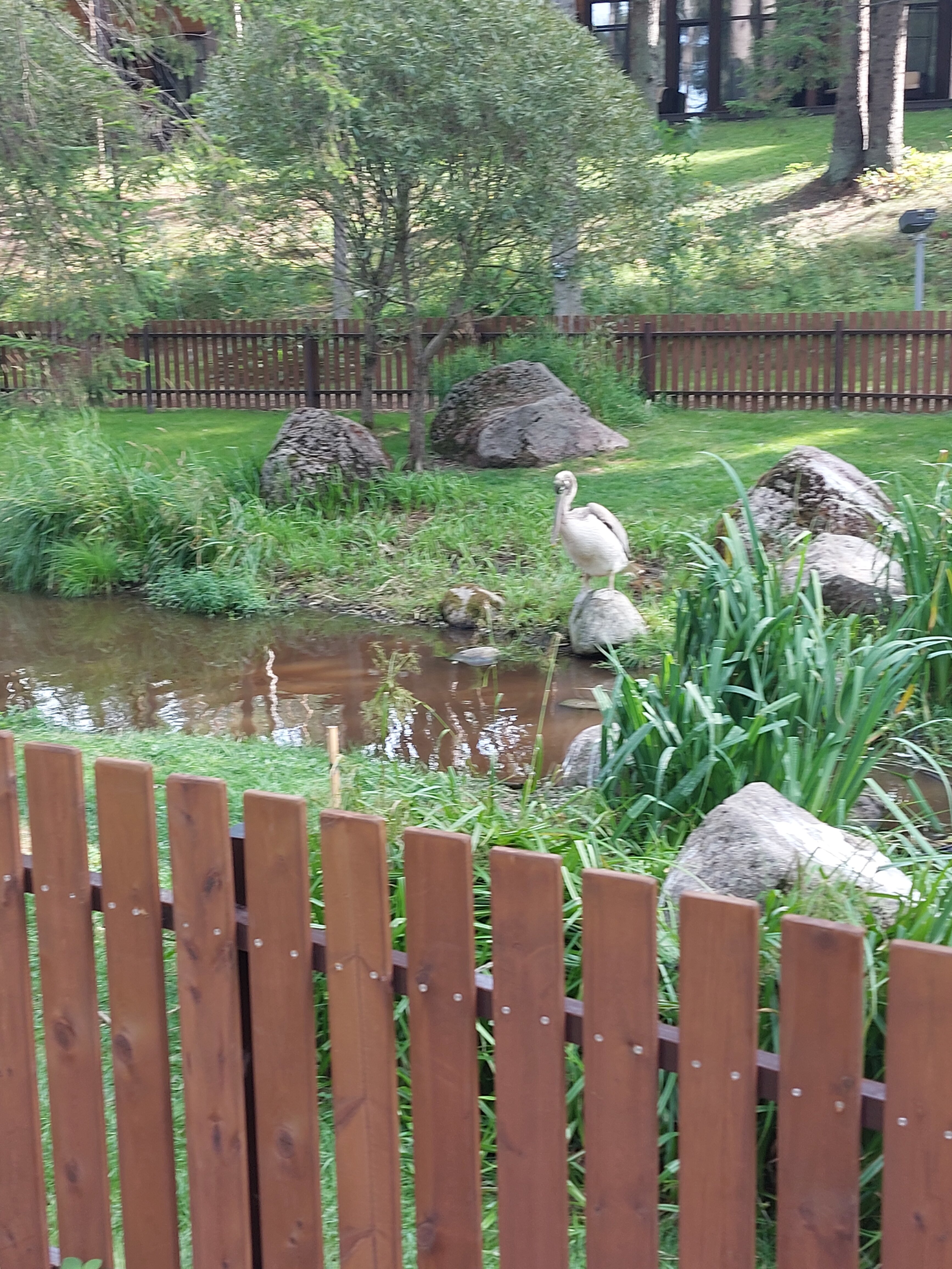 Фото Oxta Ski Resort