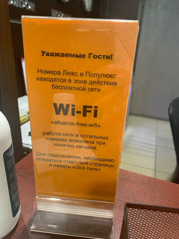 Фото Альбатрос