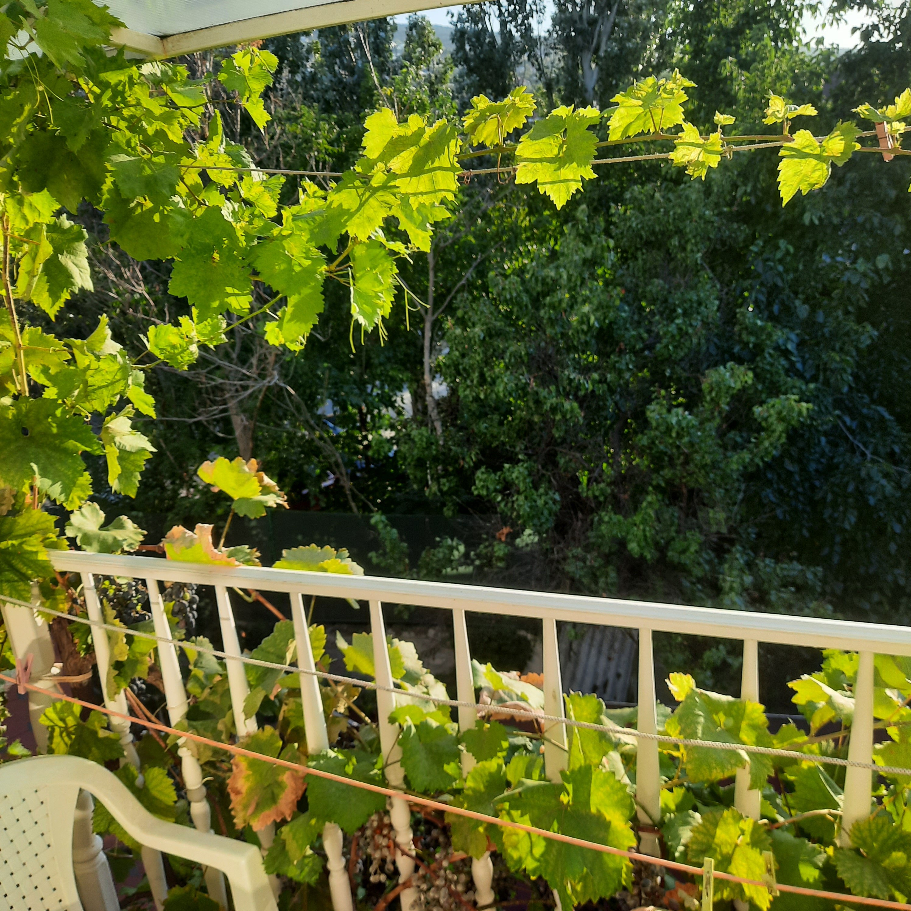 Фото Гостевой дом на Украинской