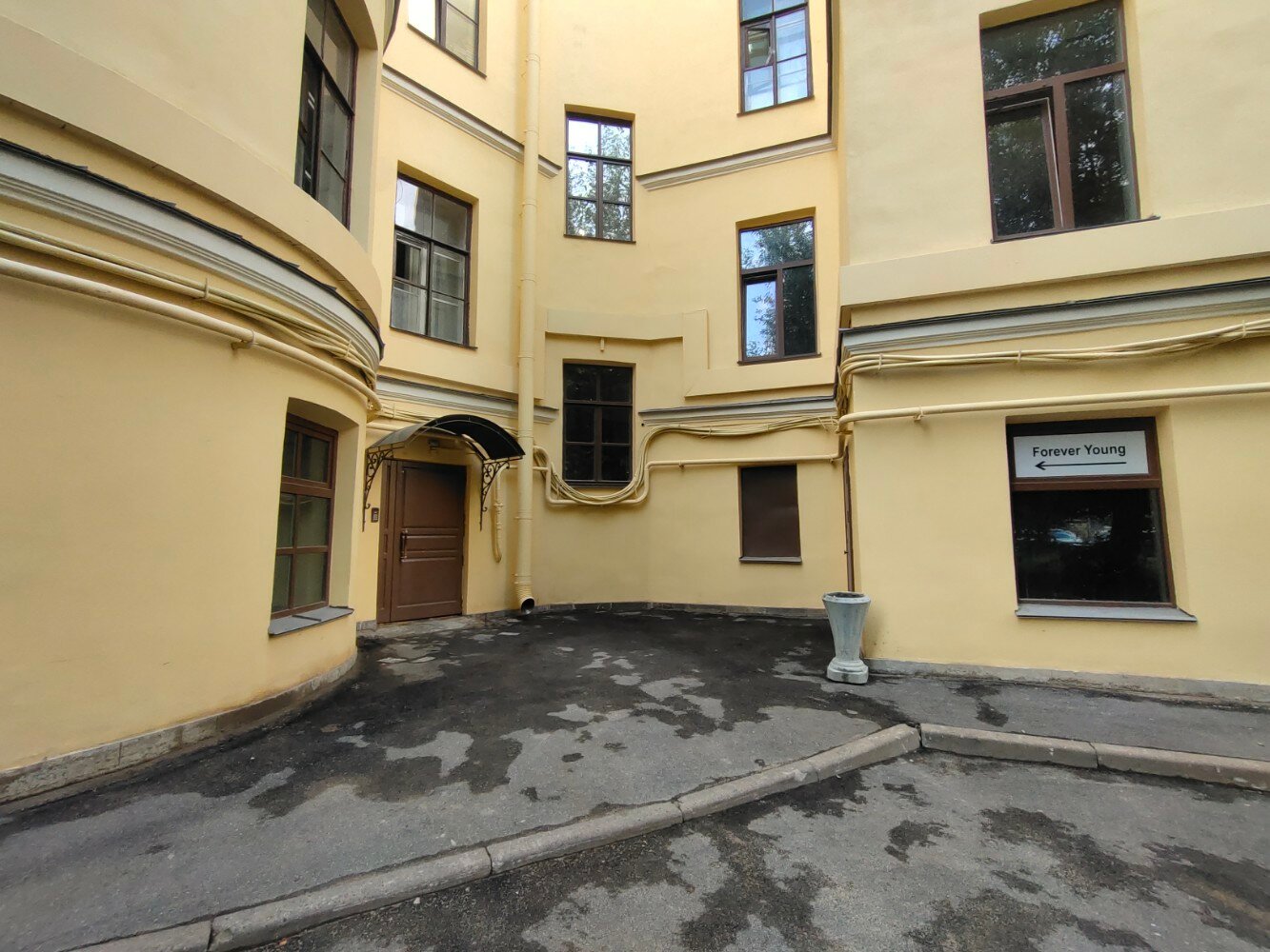 Фото Forever Young