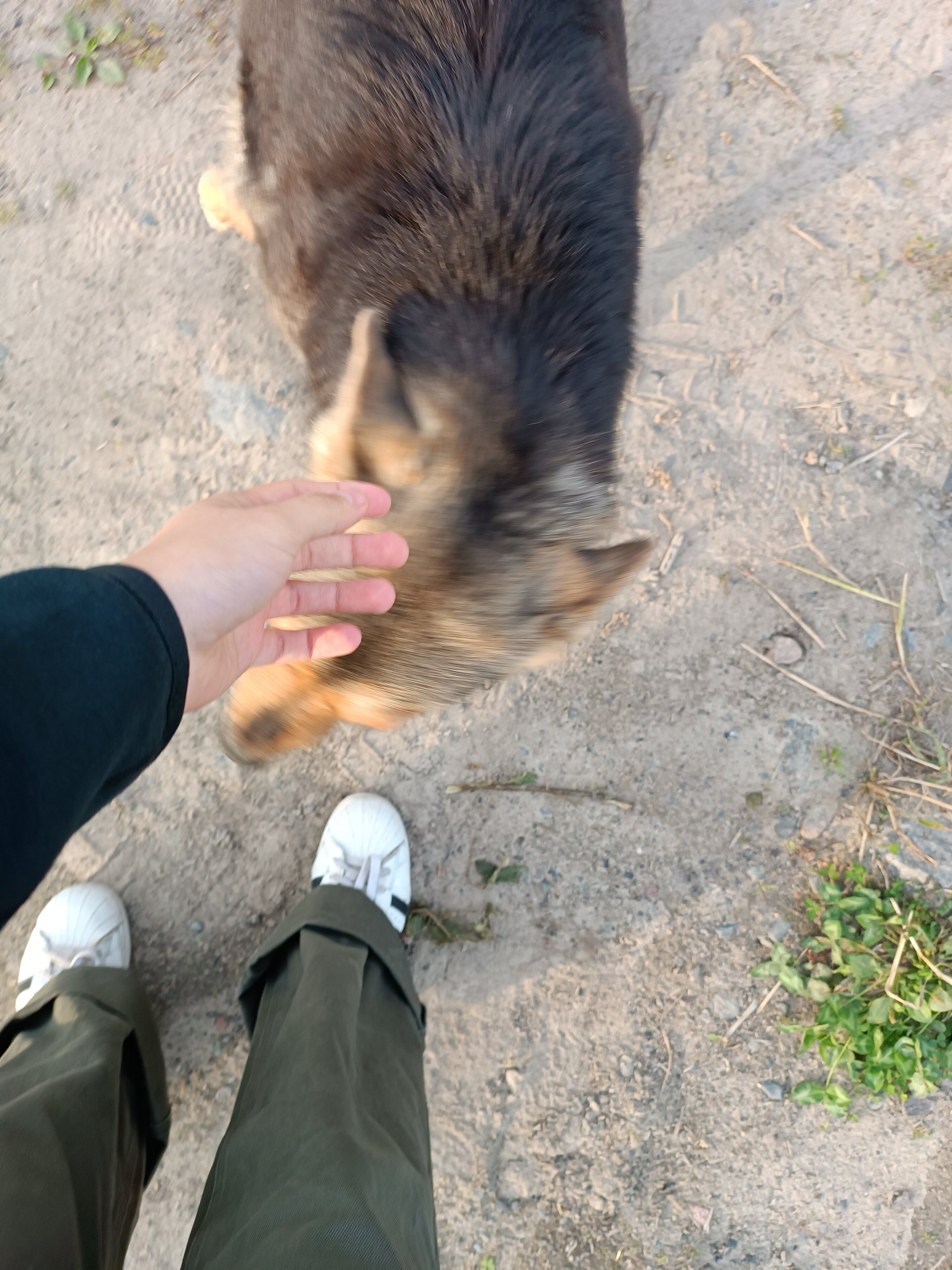 Фото Финский Хутор