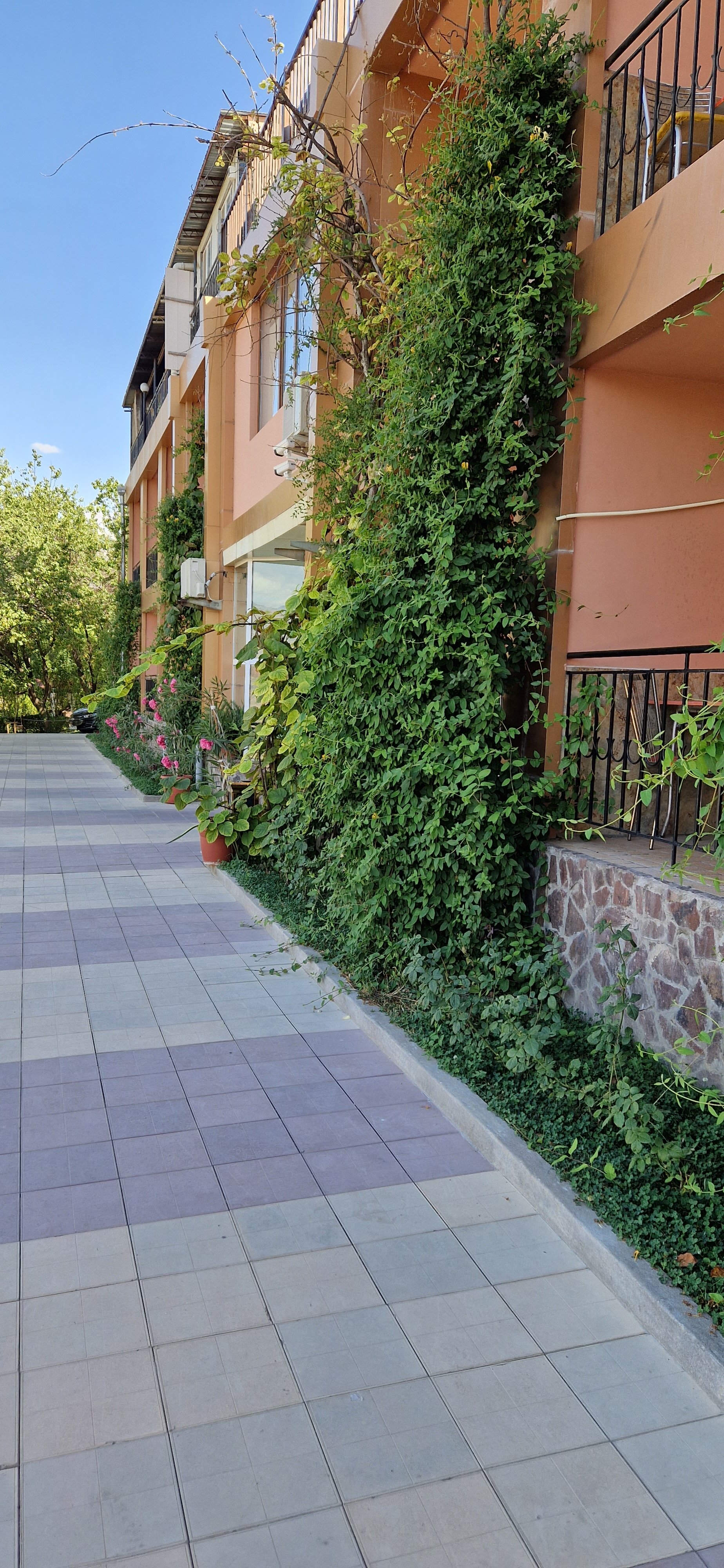 Фото Авеню Парк отель