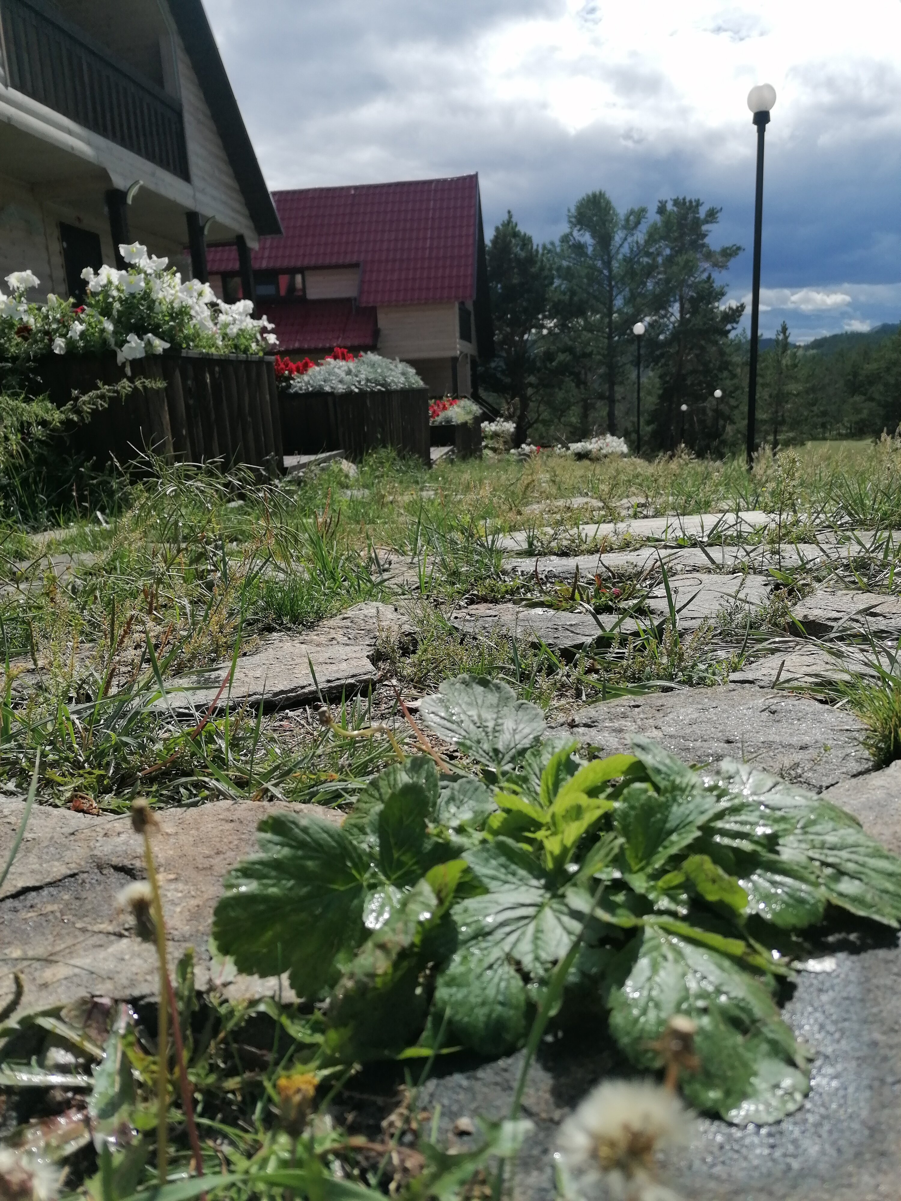 Фото Байкал-Дар