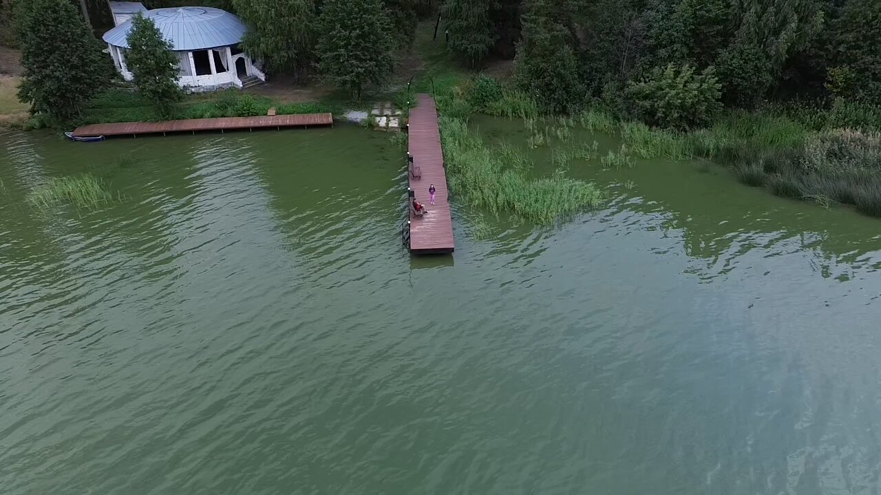 Фото Тихий Лес