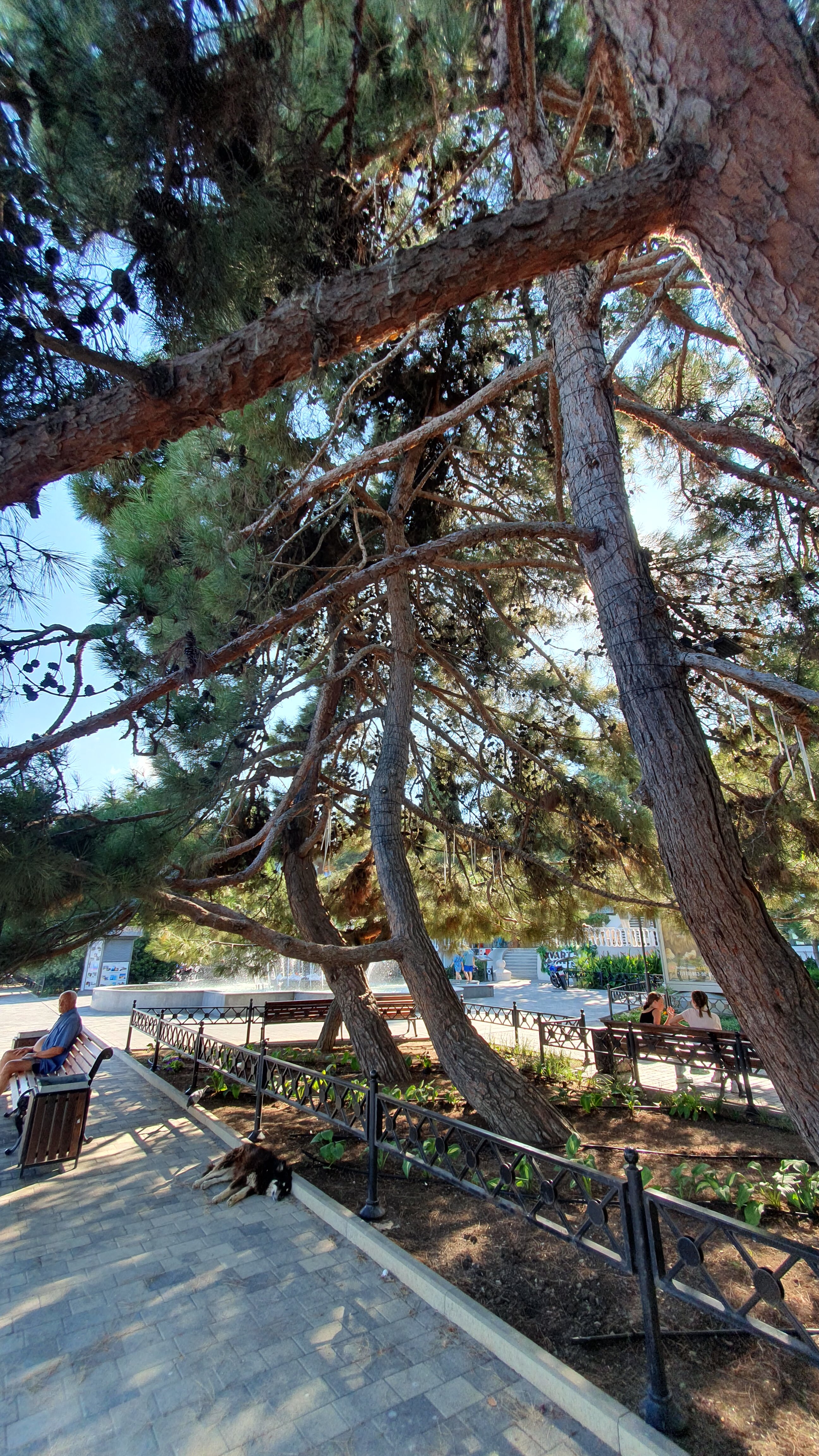 Фото Royal villa 2021