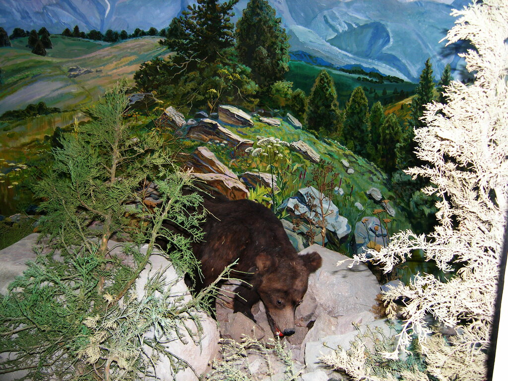 Museum Chatkal Biosphere Reserve Museum, Parkent, photo