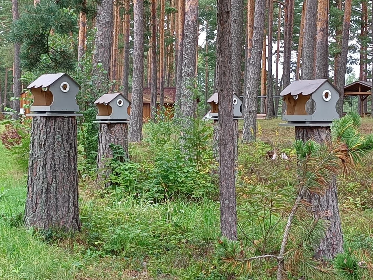 Фото Хуторок