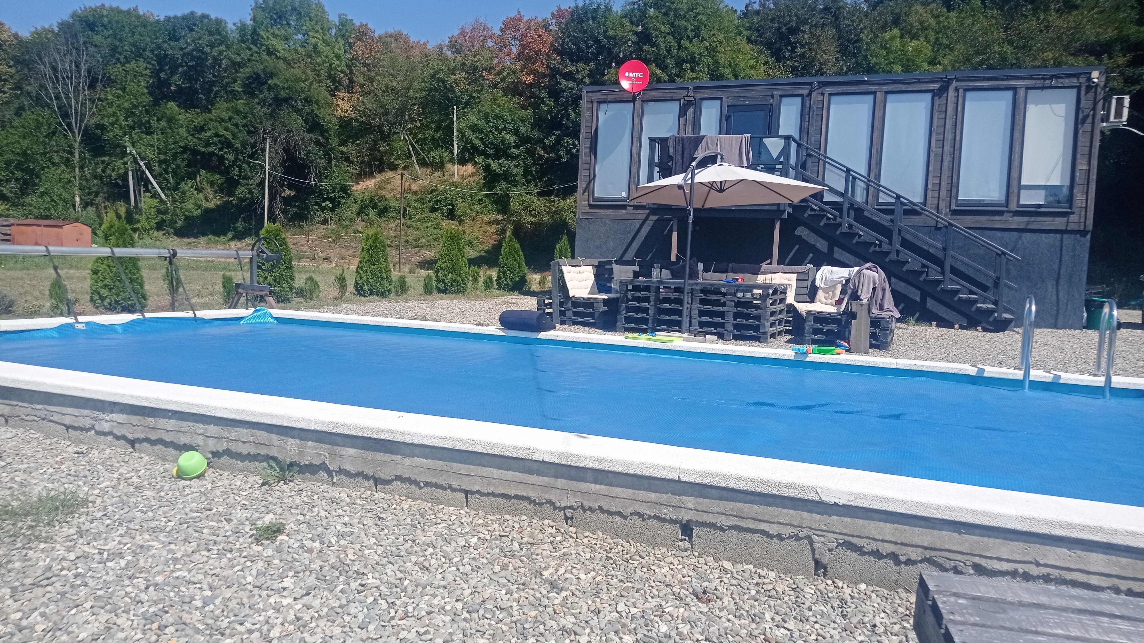 Фото Павлония