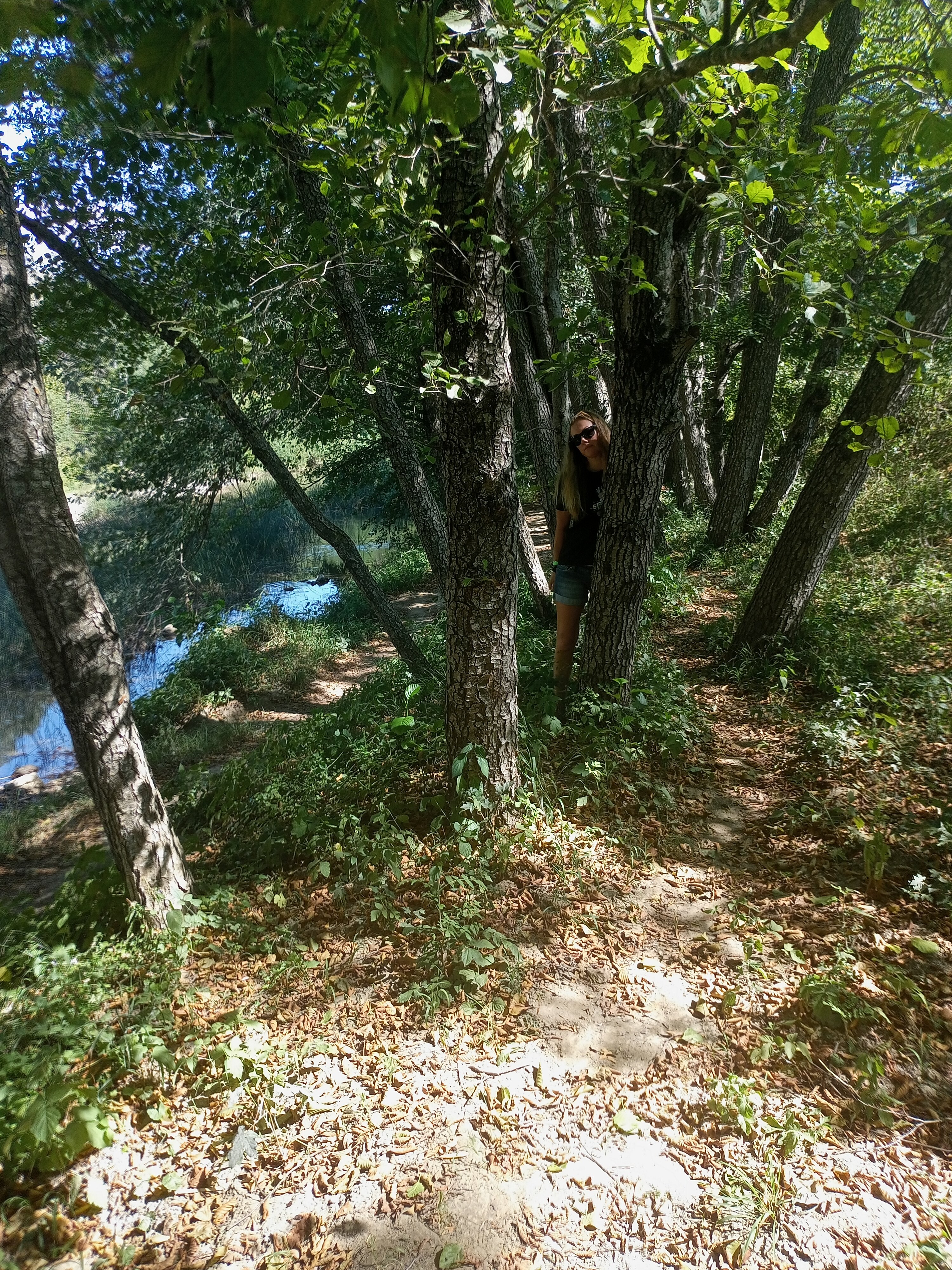 Фото Светлячок