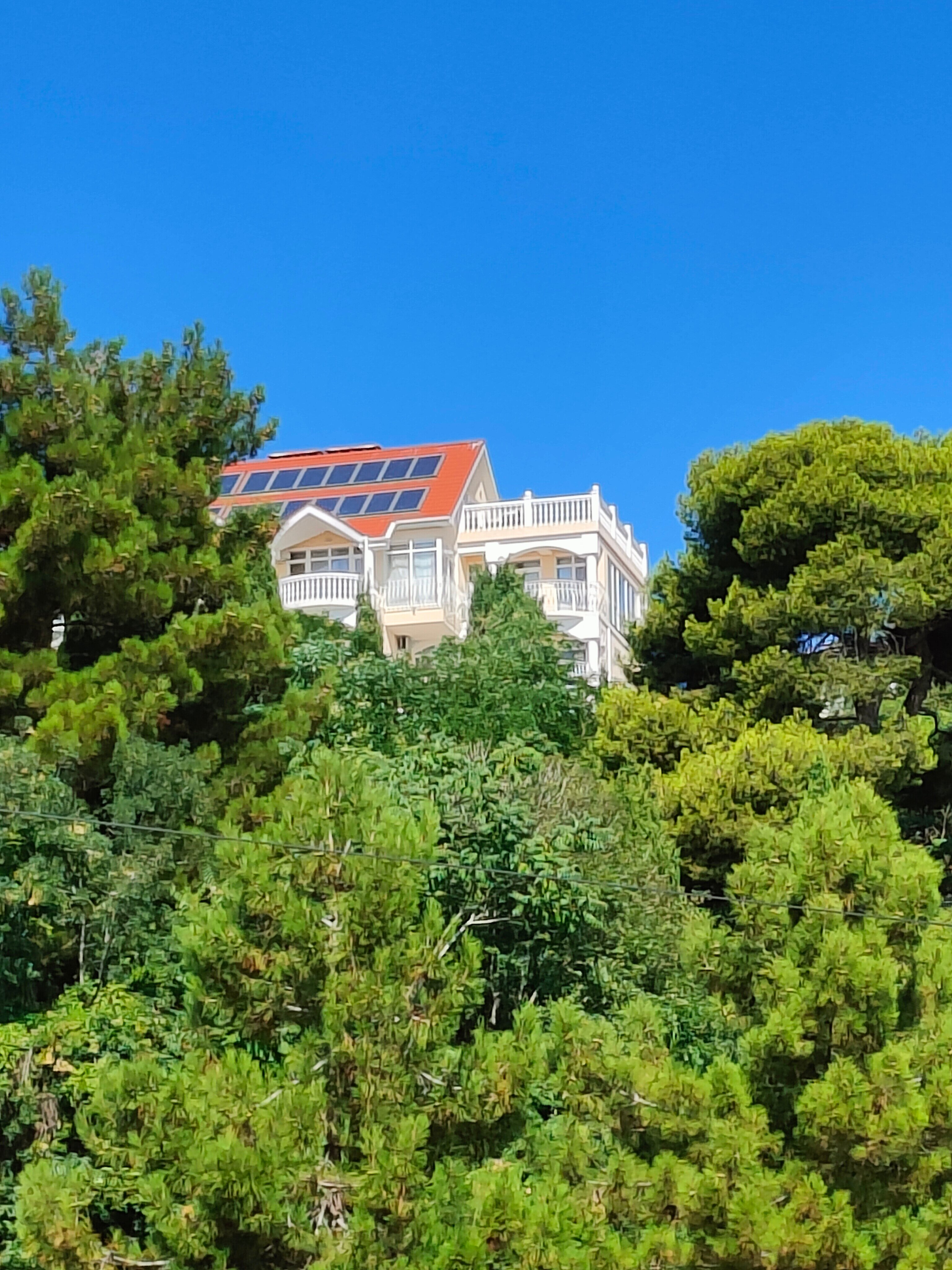 Фото Блюмарин