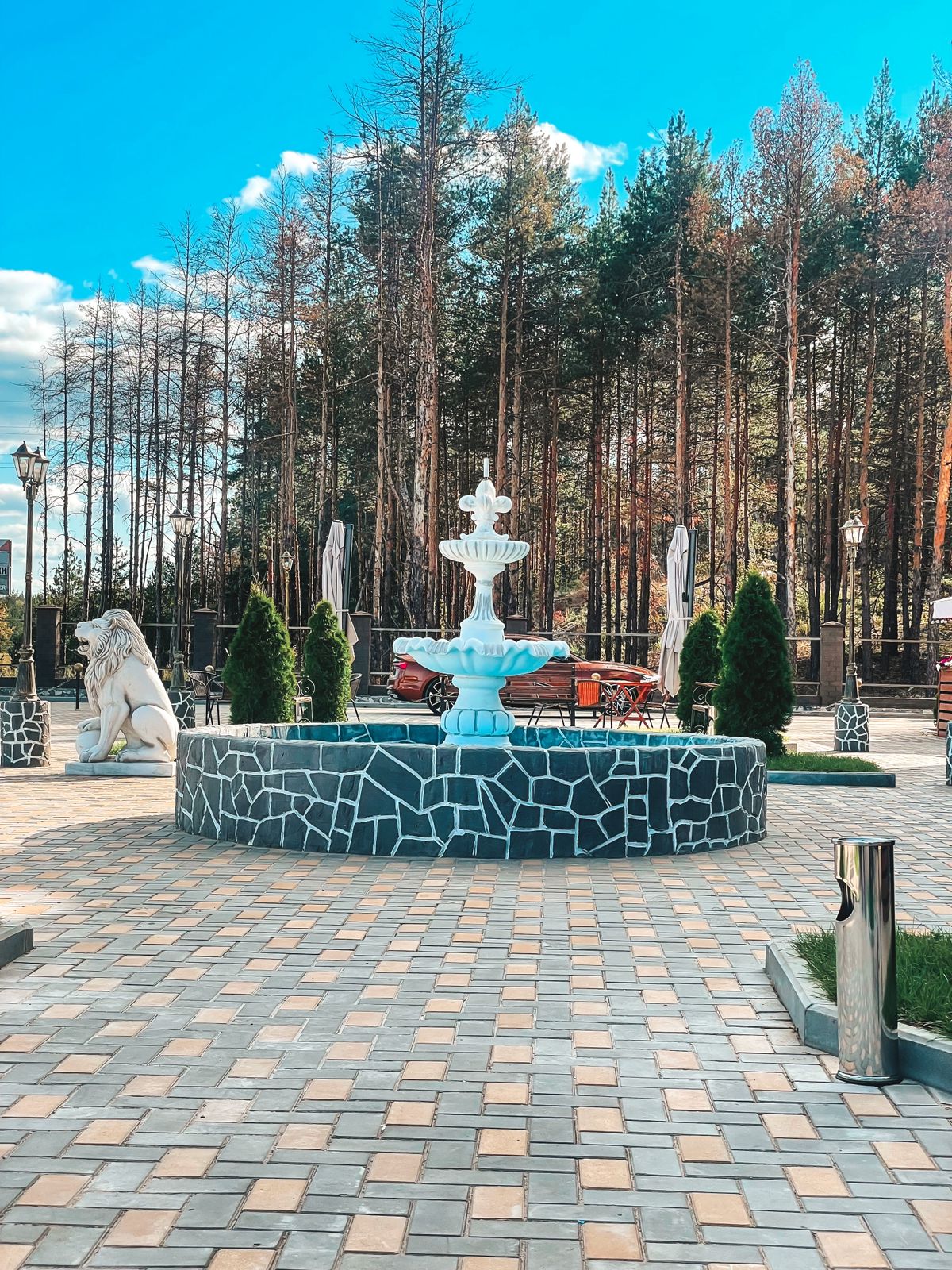 Фото Гостиница Чинар