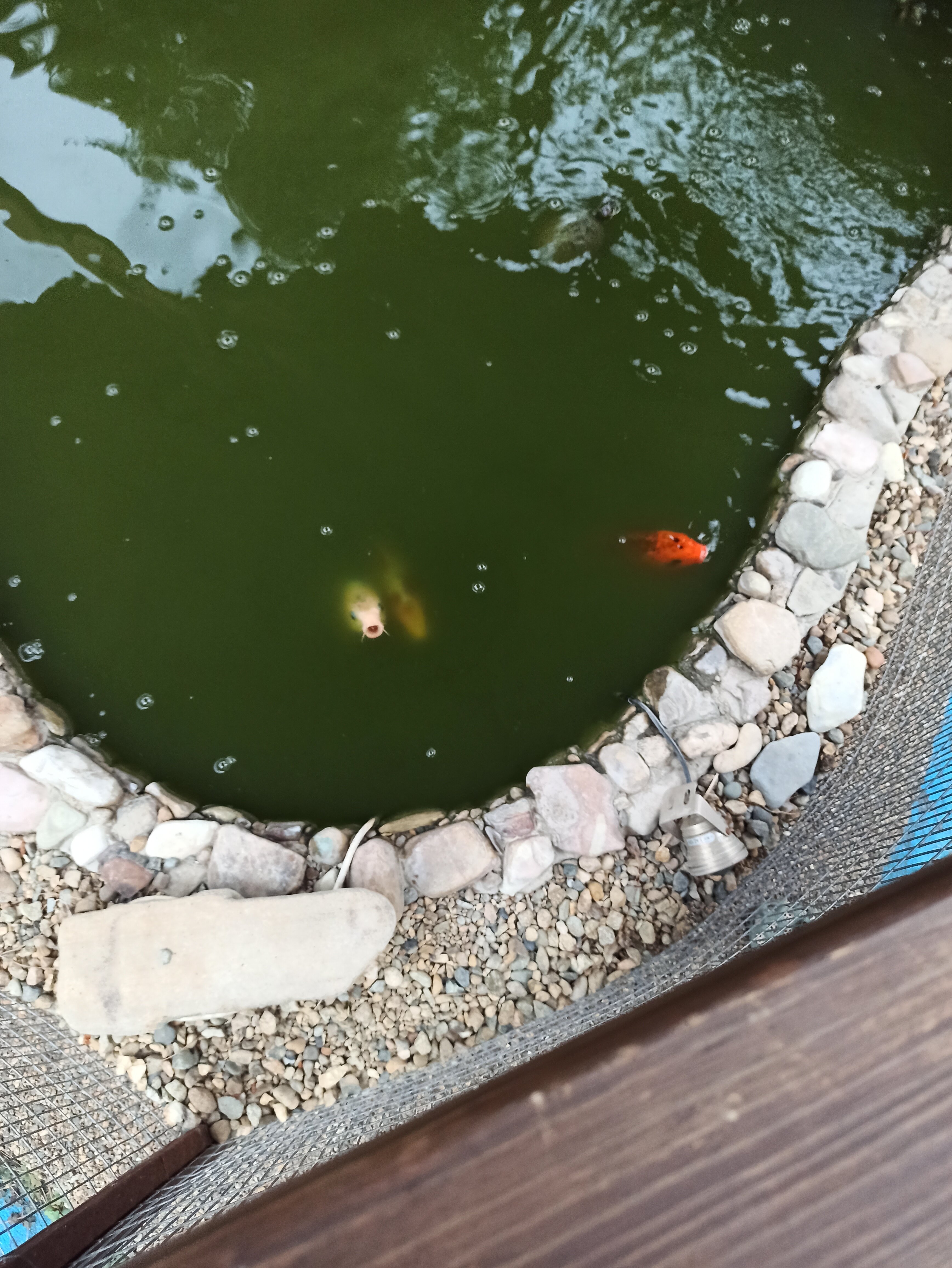 Фото Седьмое небо