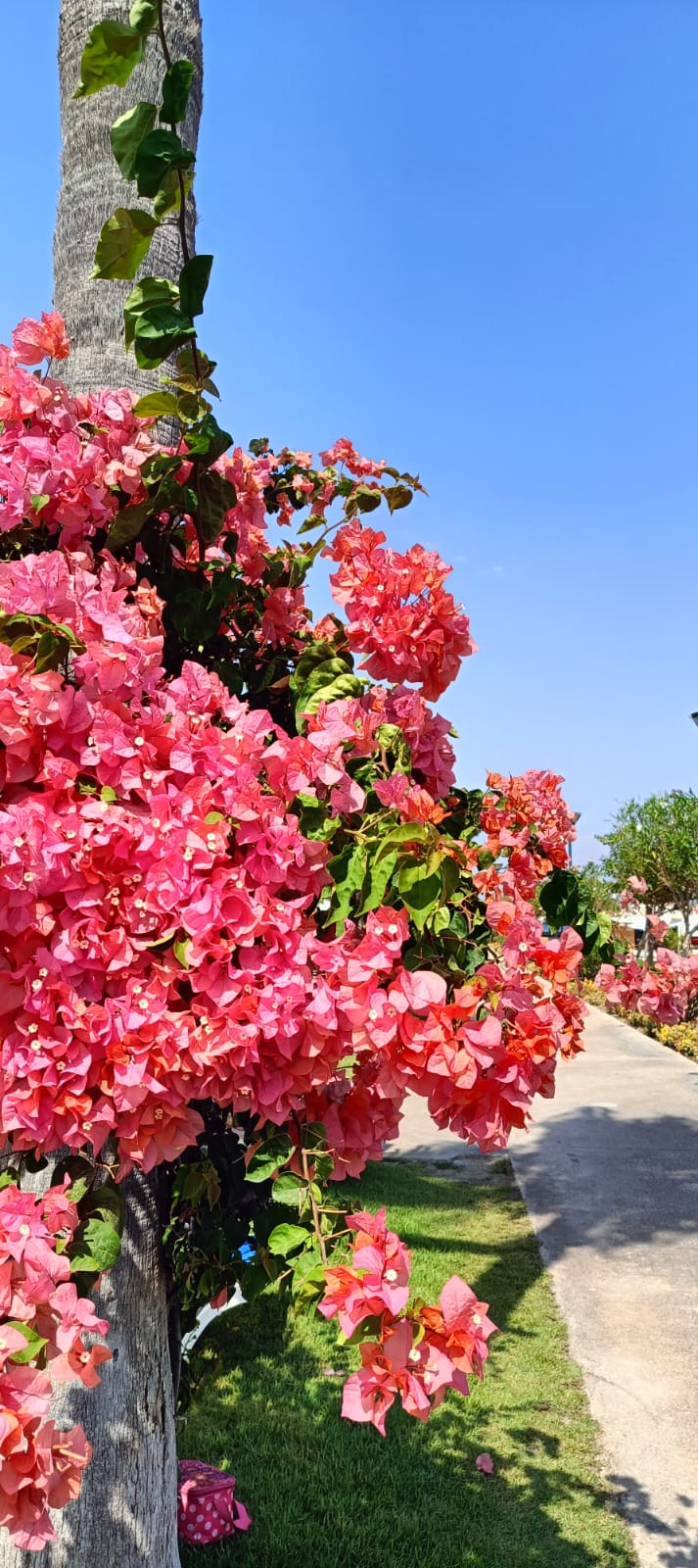 Фото Mirada Del Mar Kemer
