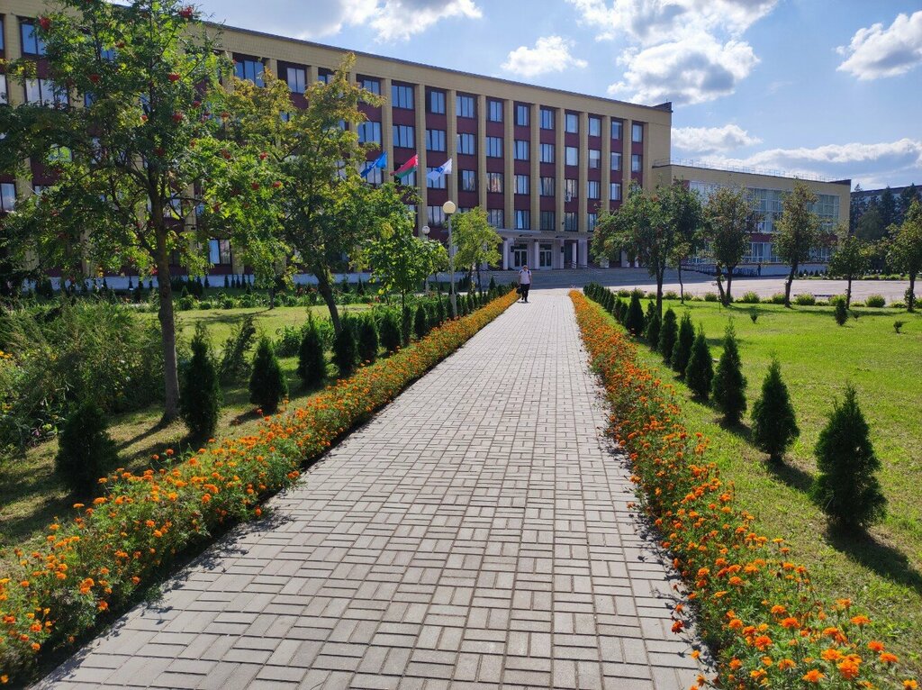 University Международный отдел Брестского государственного технического университета, Brest, photo