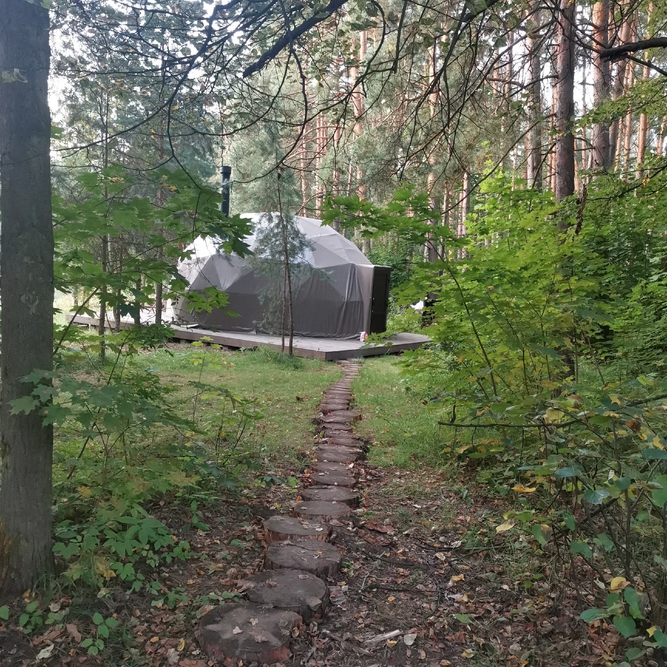 Фото Вили Улей Волга