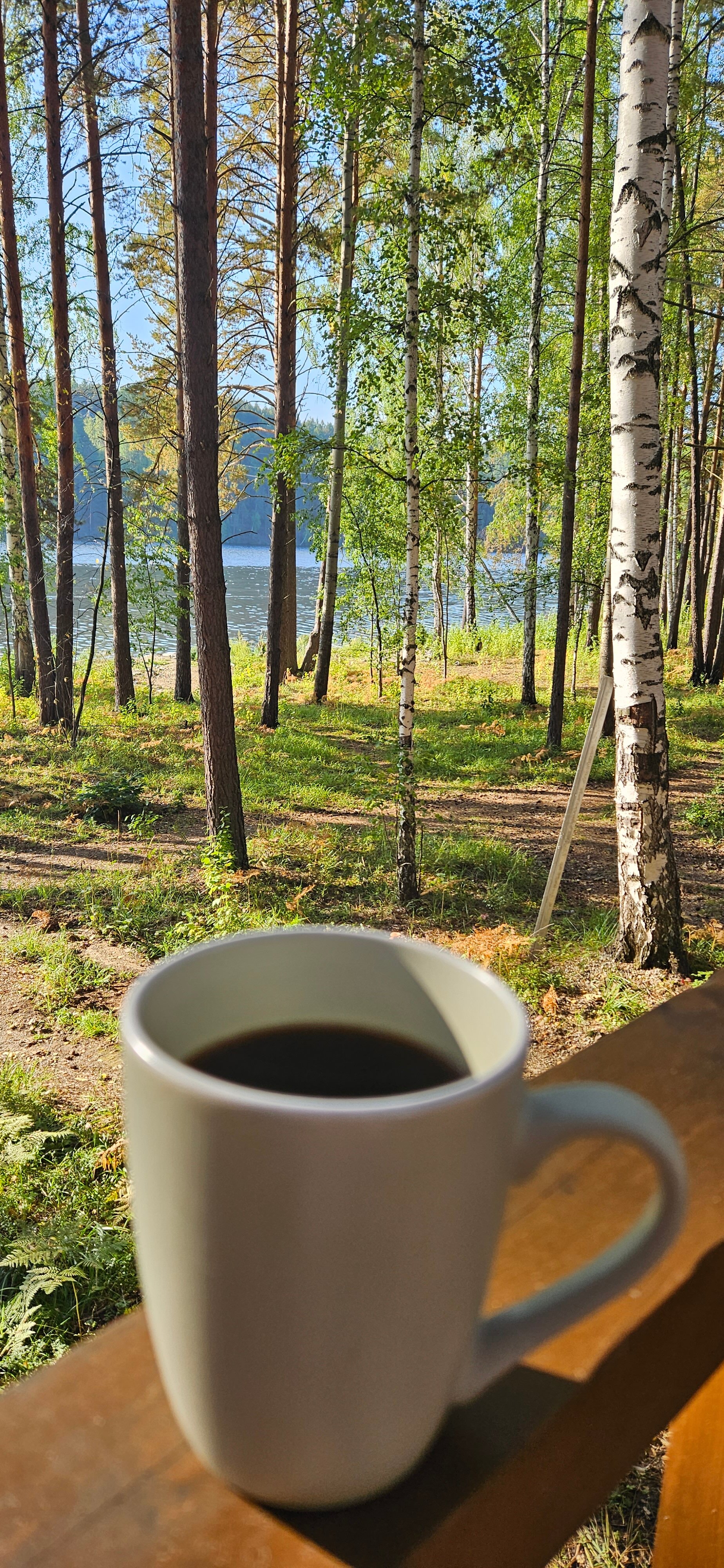 Фото Шелест Inn