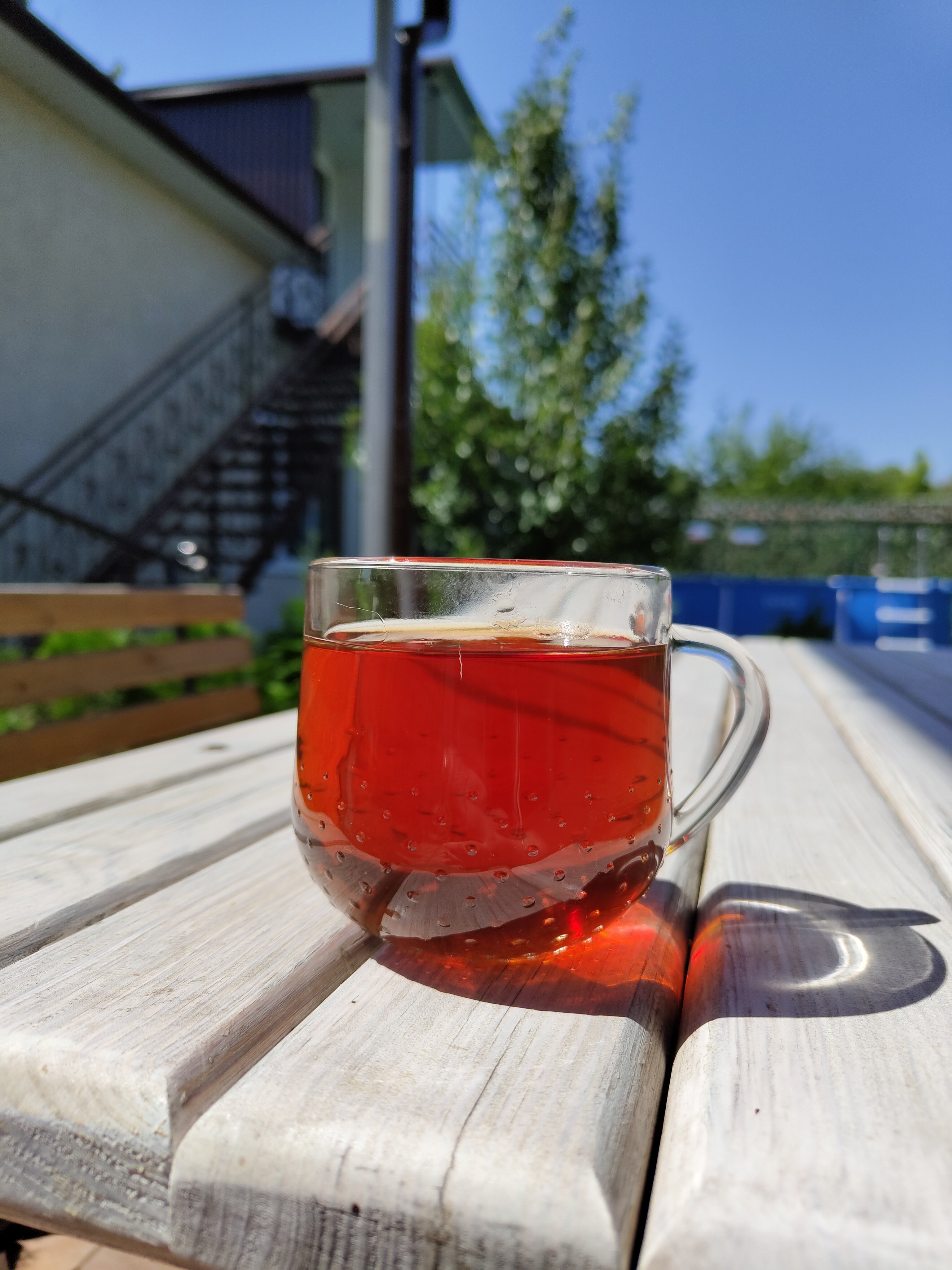 Фото Тамара