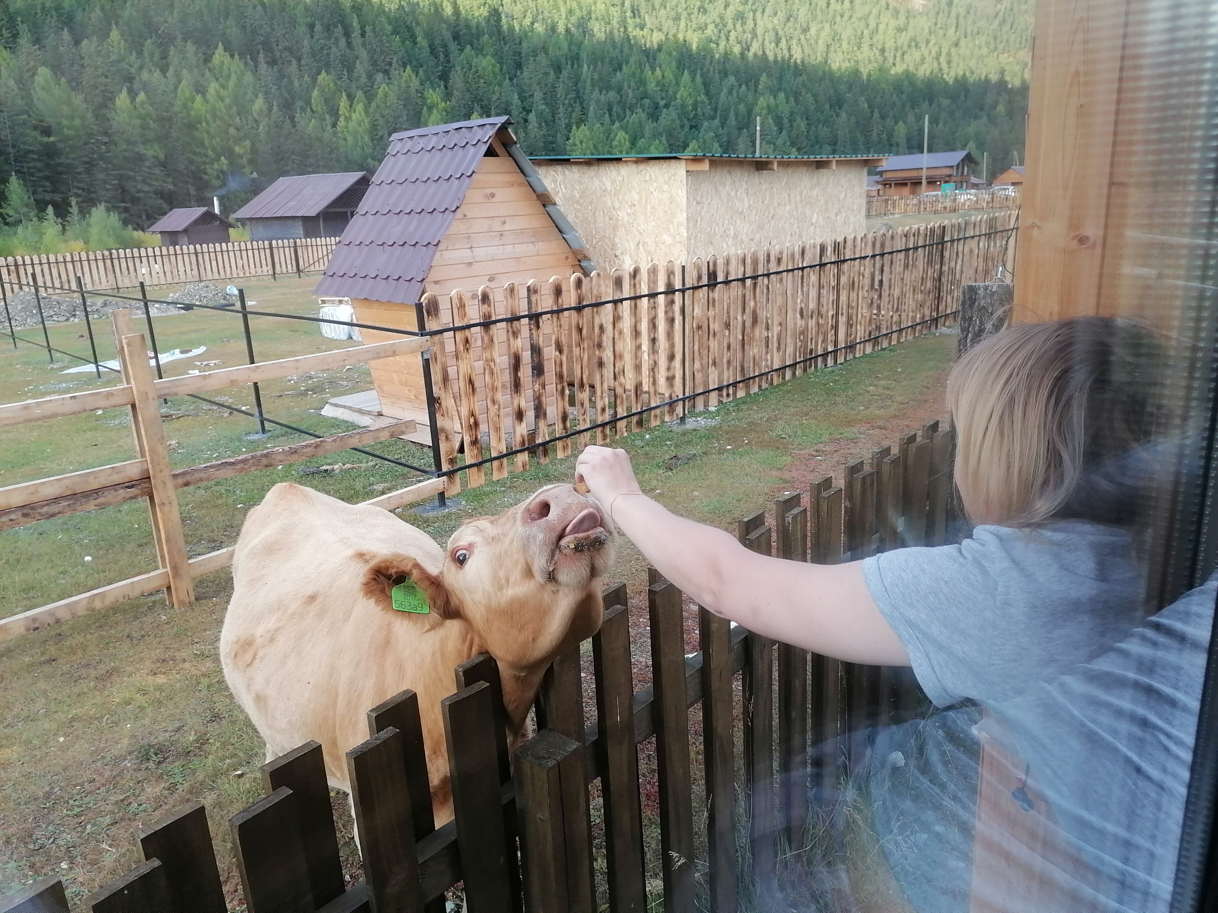 Фото Барнхаус Акташ