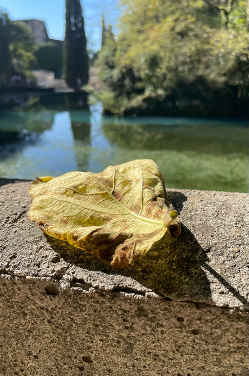 Фото Casa Del Sol