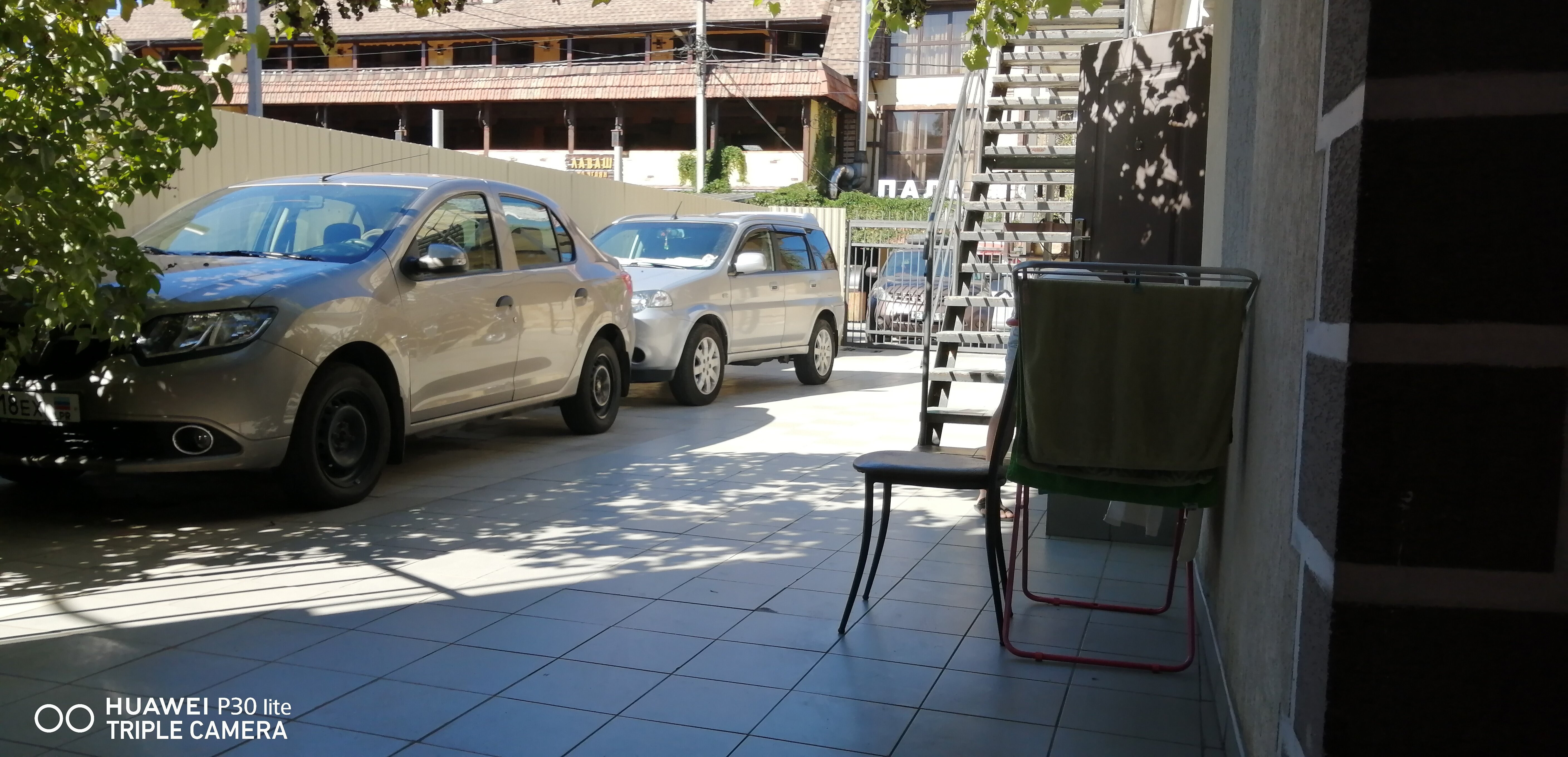 Фото Малина