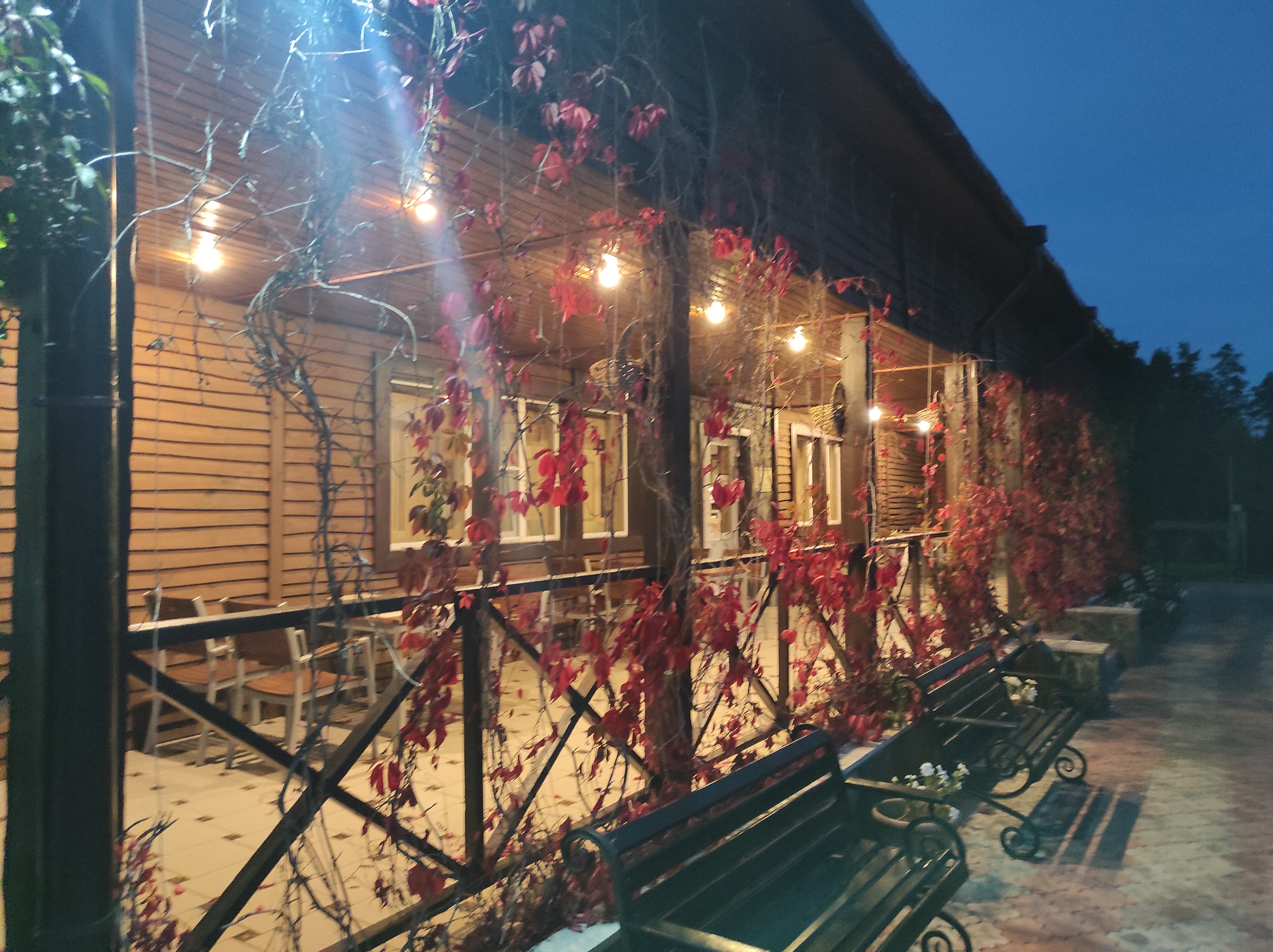 Фото Д-град