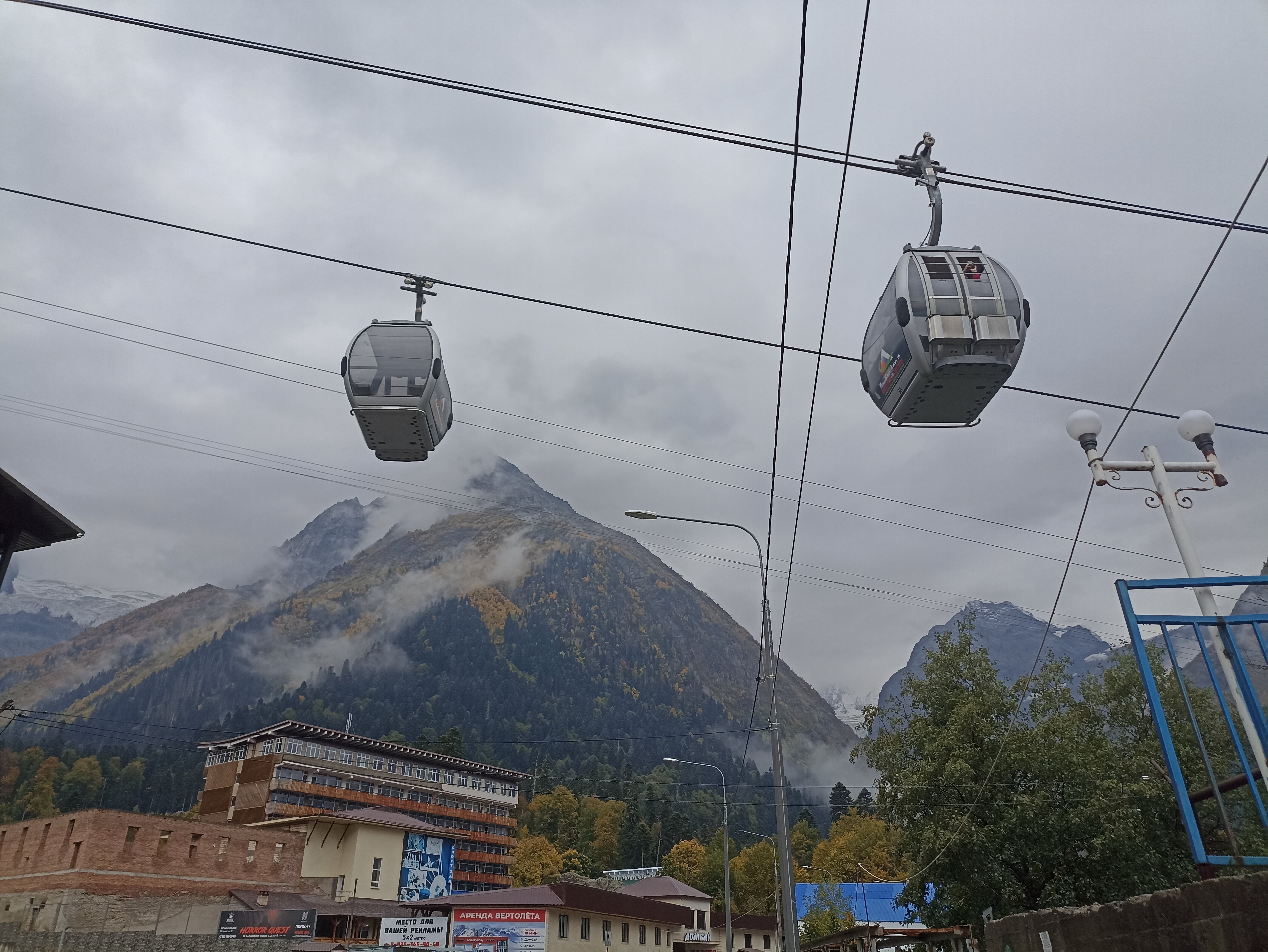 Фото Альпийский