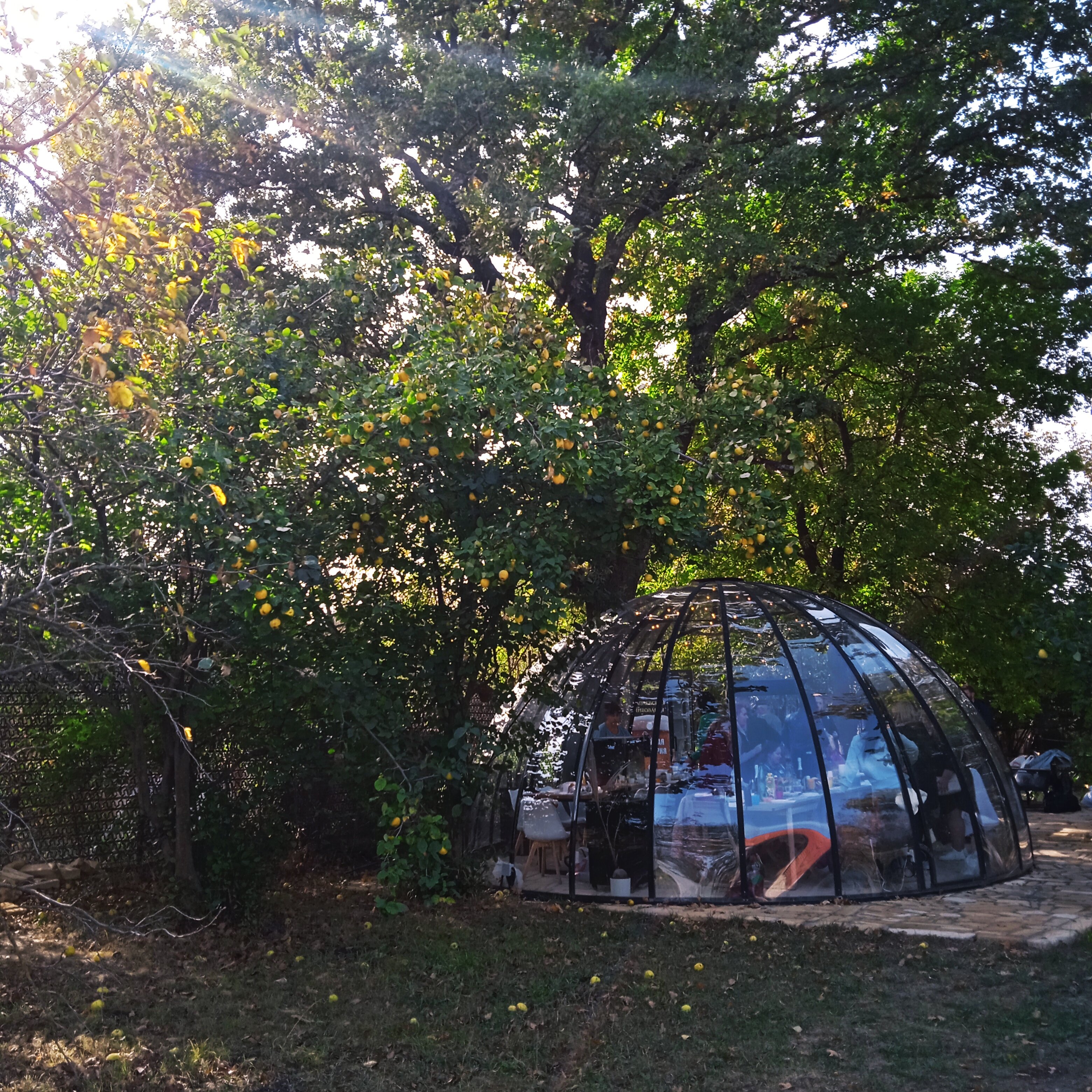 Фото Тихий пруд