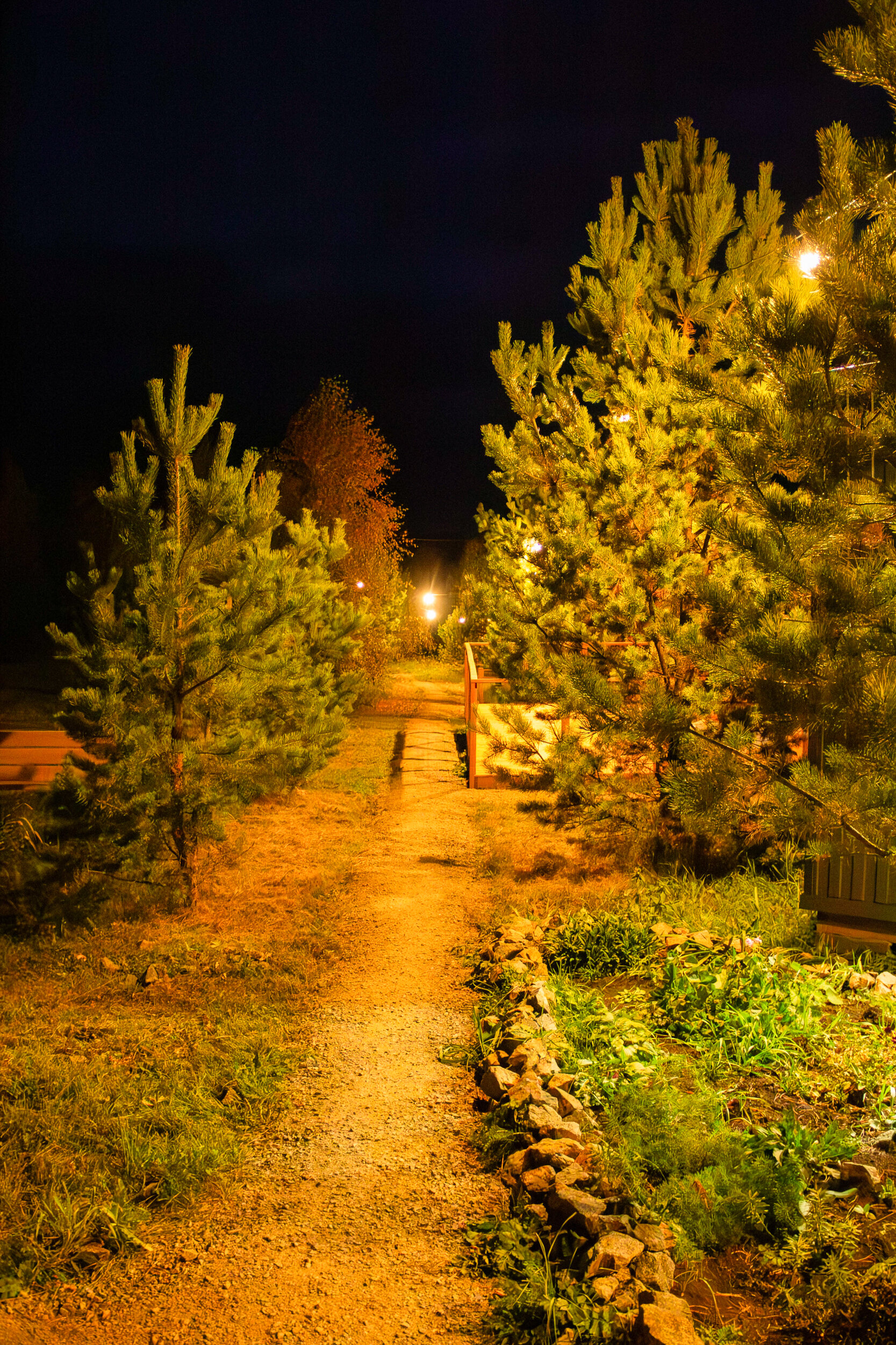 Фото Побег из города