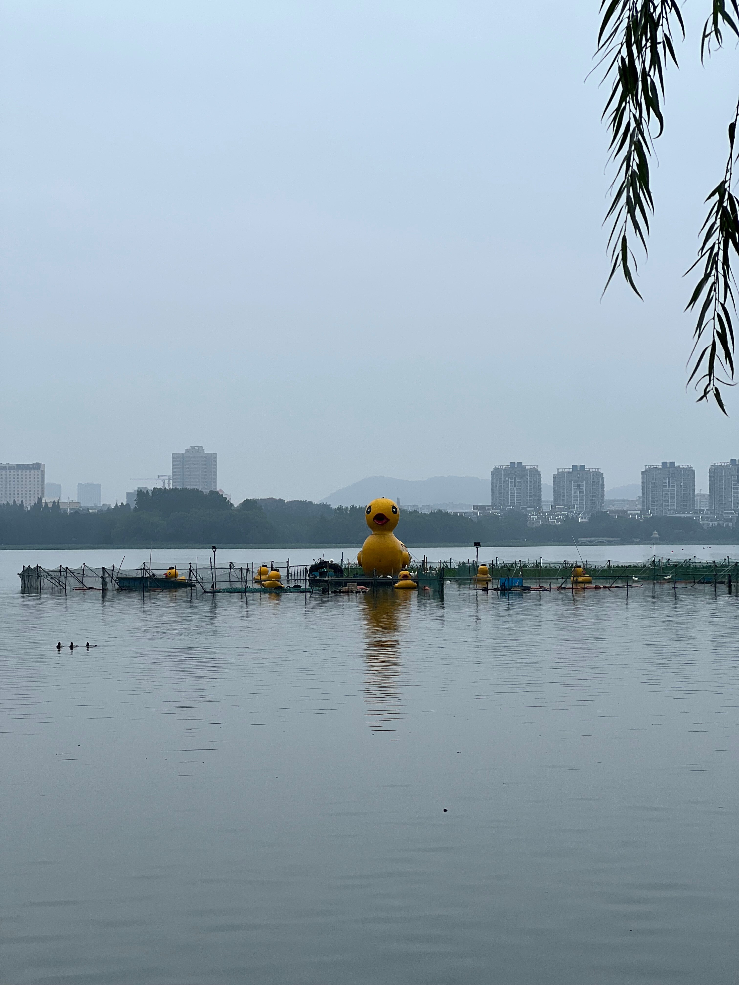 Фото Shangri La Nanjing