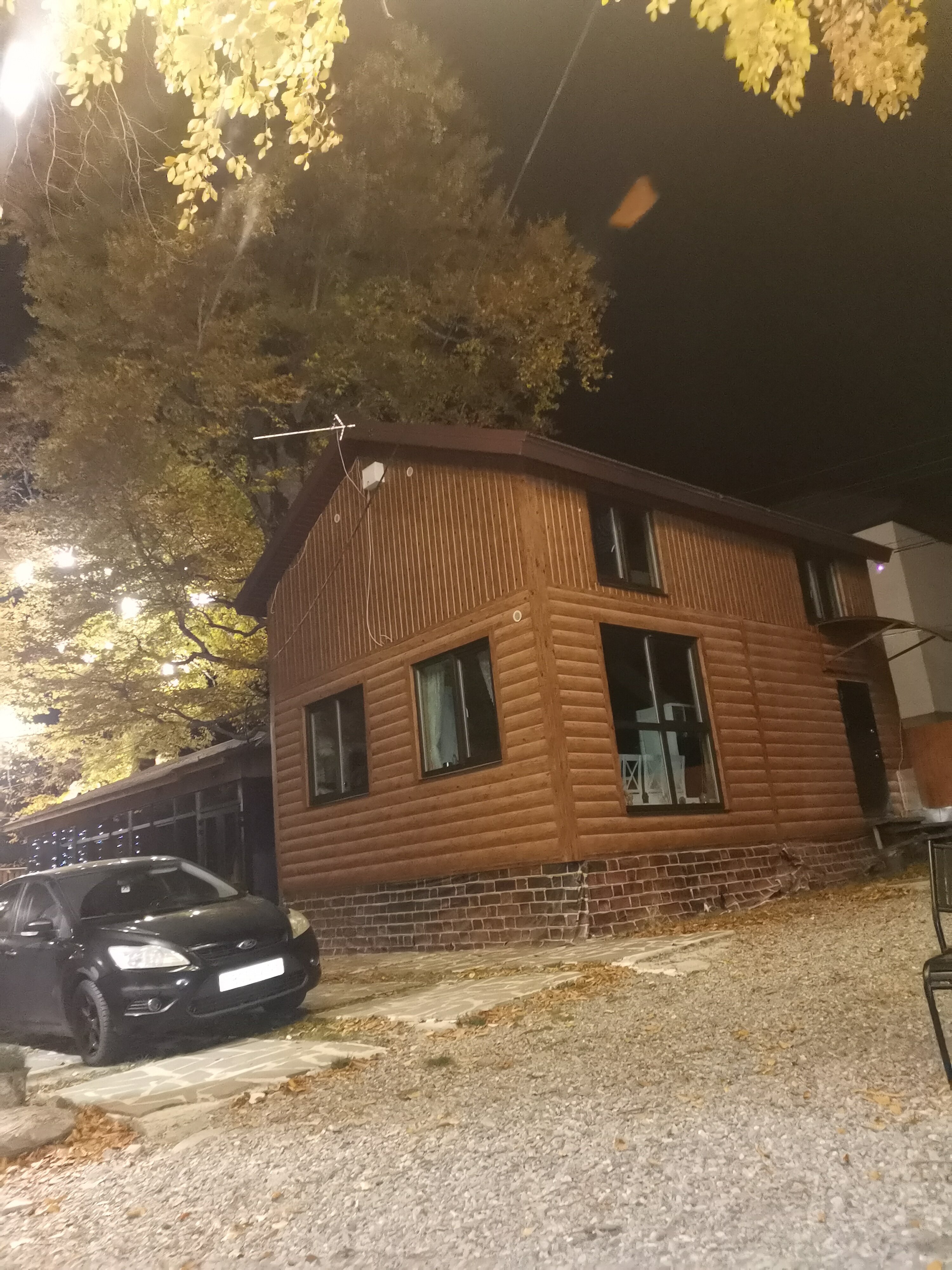 Фото Чинара