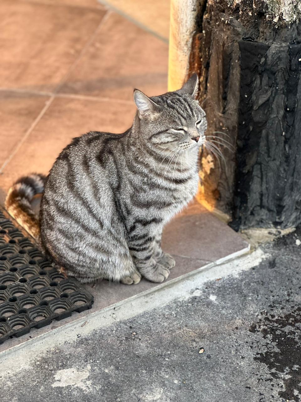 Фото Удачная дача