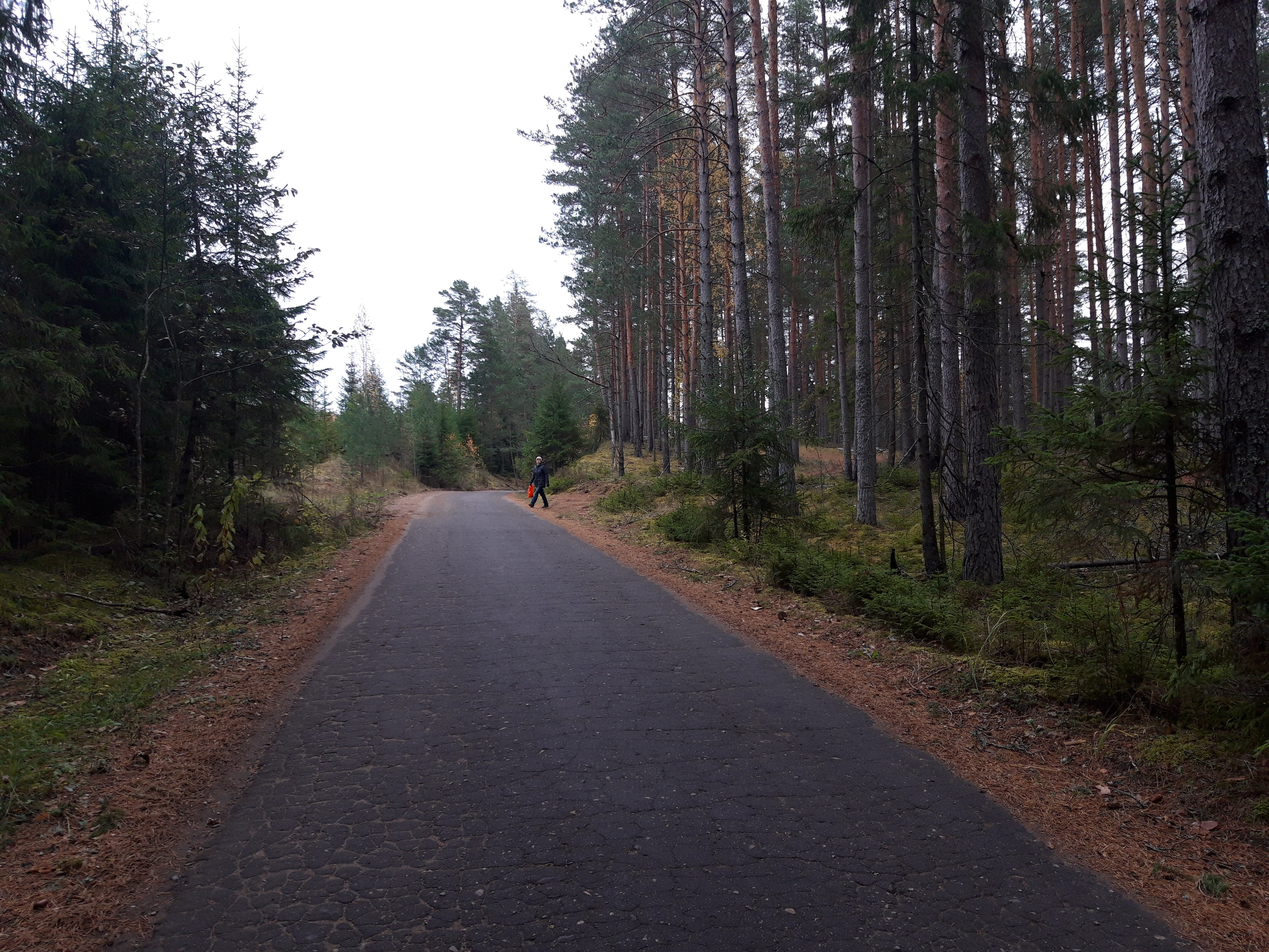 Фото Сахалин
