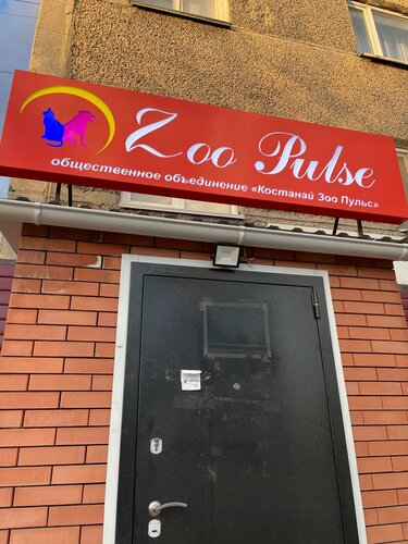 Ветеринарная клиника зоопульс просп ленина 33 фото Zoopuls, Veterinary Clinic Chelyabinsk, Victory Avenue, 292 телефон, адрес, ко