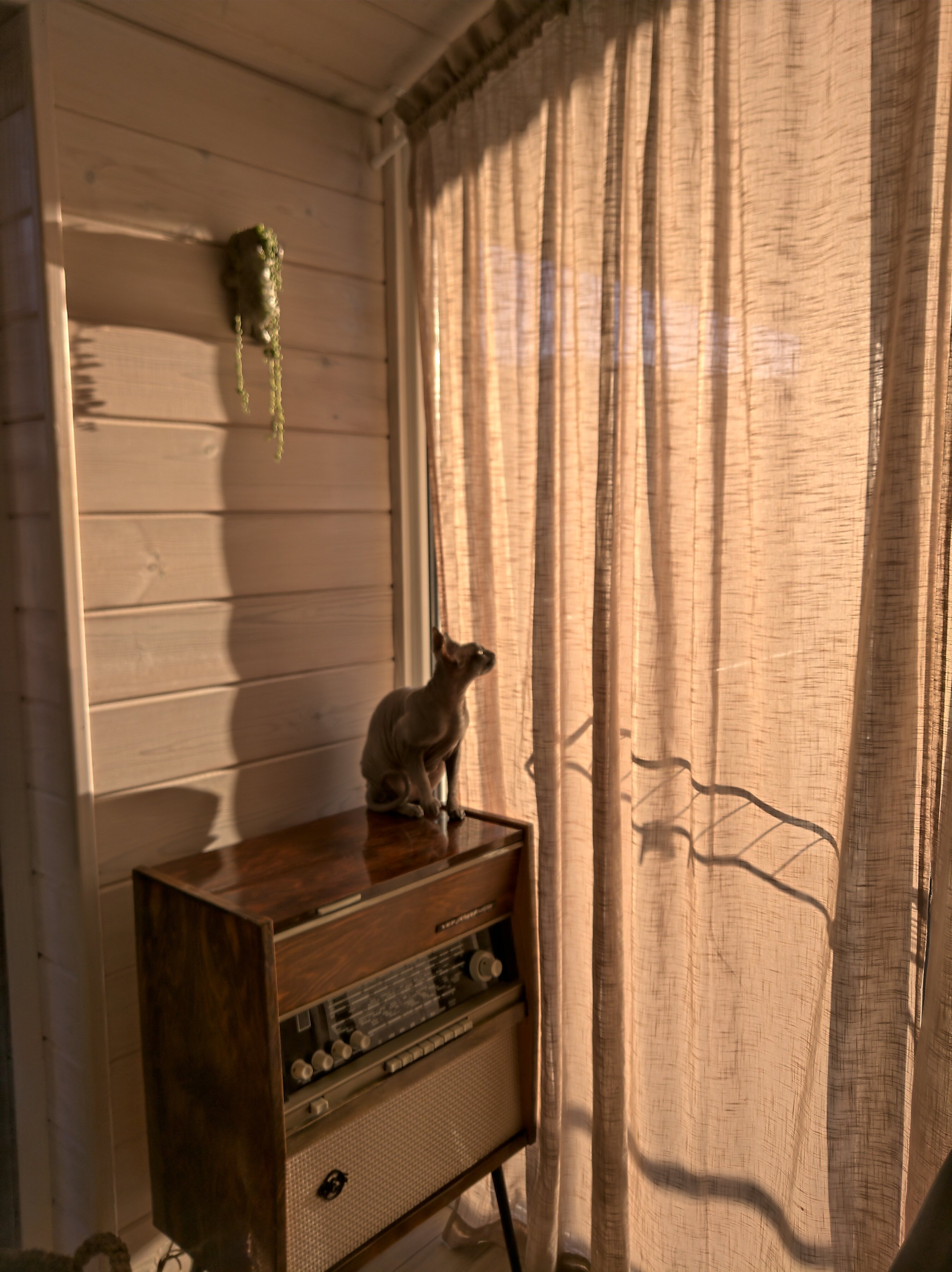 Фото The. Small. Hill. House