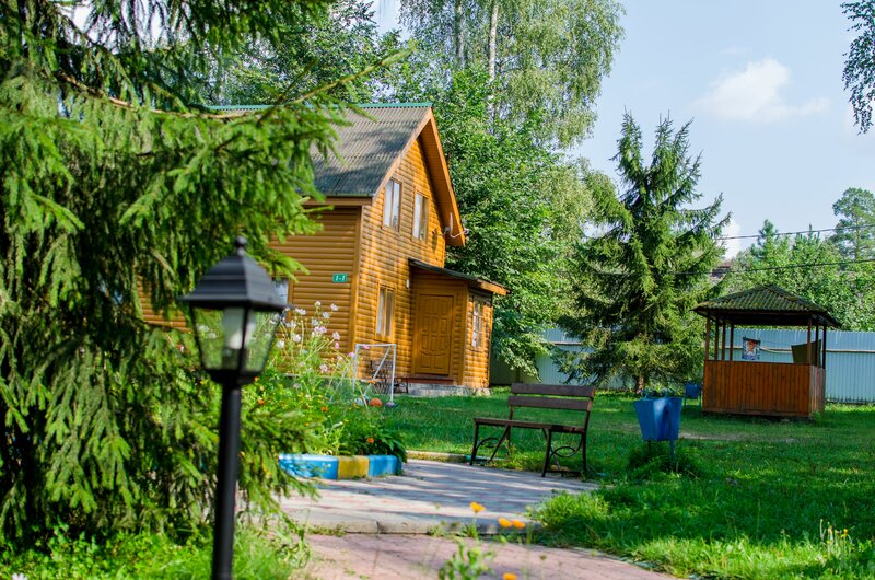 Берёзовая роща — фото 13