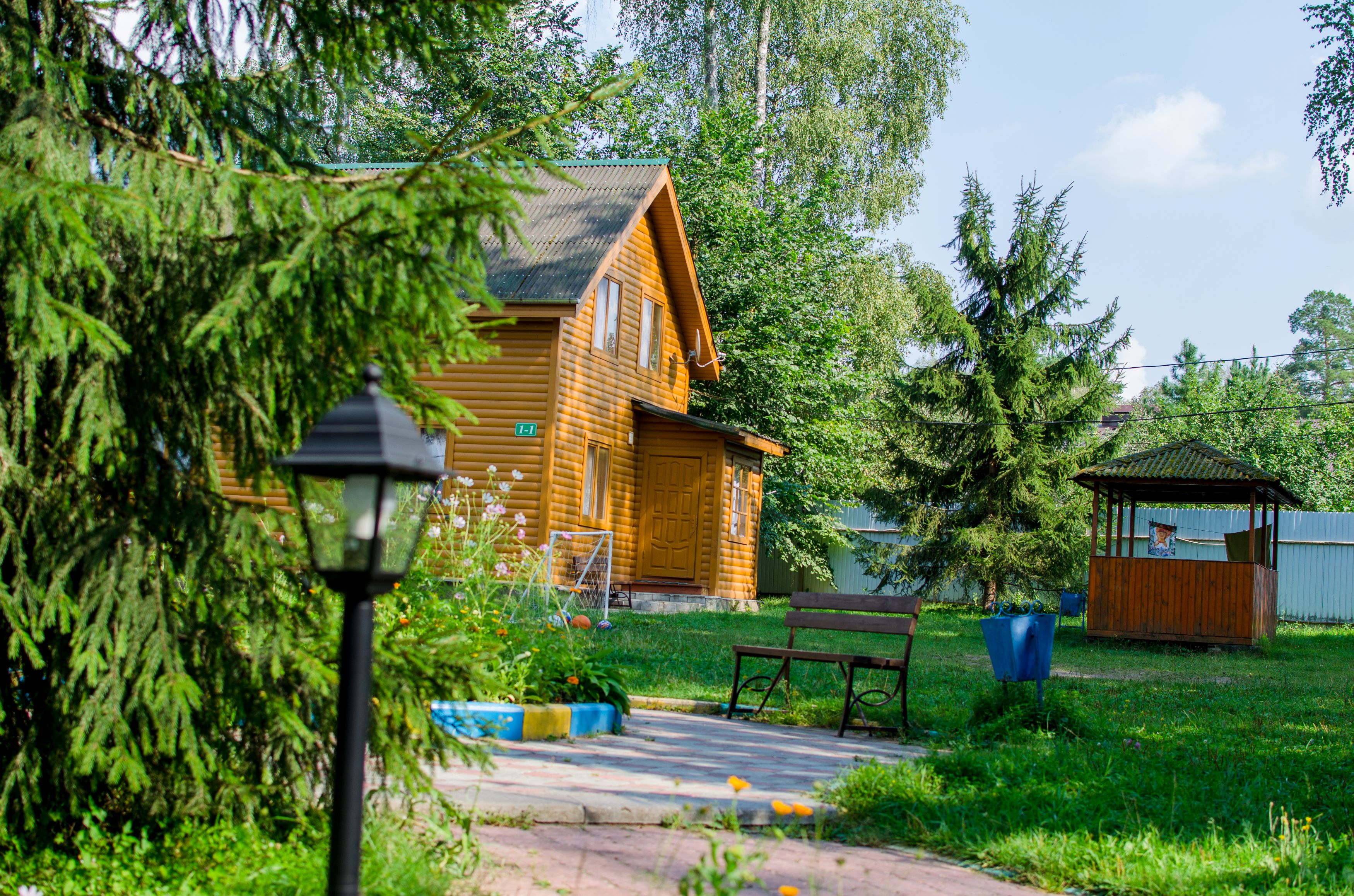 Фото Берёзовая роща