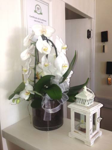 Фото Hotel Villa Aurora