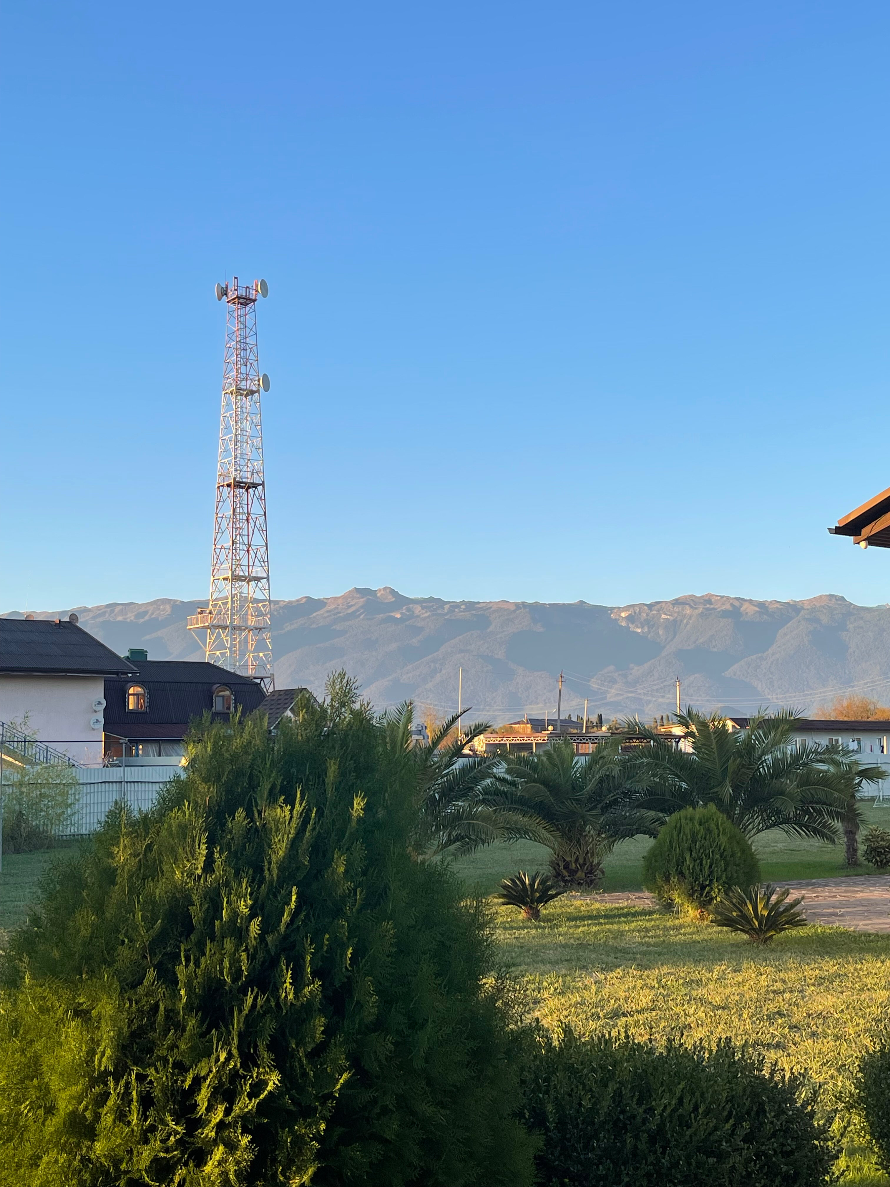 Фото Инжир Вилладж